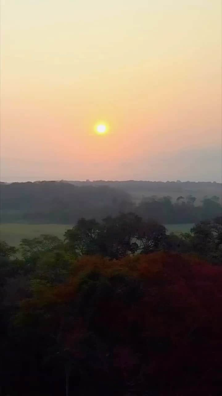 ジェフ・ベゾスのインスタグラム：「Repost from @bezosearthfund • The Bezos Earth Fund has granted $110M to protecting the Congo Basin, a critical ecosystem the world cannot afford to lose. That’s why we’re collaborating with partners across governments, businesses, and civil society to conserve 30% of the region by 2030.  This July, Earth Fund leadership, including @jeffbezos, @laurenwsanchez and @drandrewsteer, together with @jenmorrisnature, visited Gabon, one of the countries in the Congo Basin region.  75 million people depend on the water, food, materials, medicine and shelter the Congo Basin provides. It is also one of the world’s largest carbon sinks and thus functions as the heart of Africa and the lungs of the world.  As Wanjira Mathai, advisor to the Bezos Earth Fund, notes, “It’s going to take radical partnerships for us to get all of this work to add up to the impact we want to see.”  Special thanks to our partners on this visit. Gabon’s President, Minister for Environment and partners from @nature_org, @birdlife.international, @rainforesttrust, @RightsResources, @thewcs, @UNEP, @WorldResources, @unep’s World Conservation Monitoring Centre, @globalalliancet, and the Campaign for Nature.  #CongoBasin #CongoBasinRainforest #30x30 #30by30 #CongoRainforest #OnlyOneEarth #BezosEarthFund」