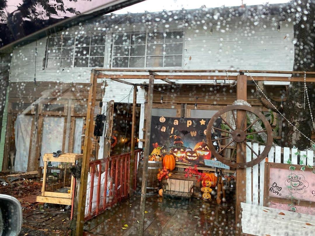 国沢一誠さんのインスタグラム写真 - (国沢一誠Instagram)「２日連続親父と雨の日DIY 我ながらに我親子は震えながら頑張った！ 解体からベース作りまで、２日間で成し遂げた😁  これは達成感と寒さにひたらしてください。 そして生まれ変わったＢＯＫＵＲＡＮＯＴＥは10月7日で3歳になりました  #親子DIY #DIY #bokuranote  #cafe」10月8日 1時08分 - kunisawa_issei