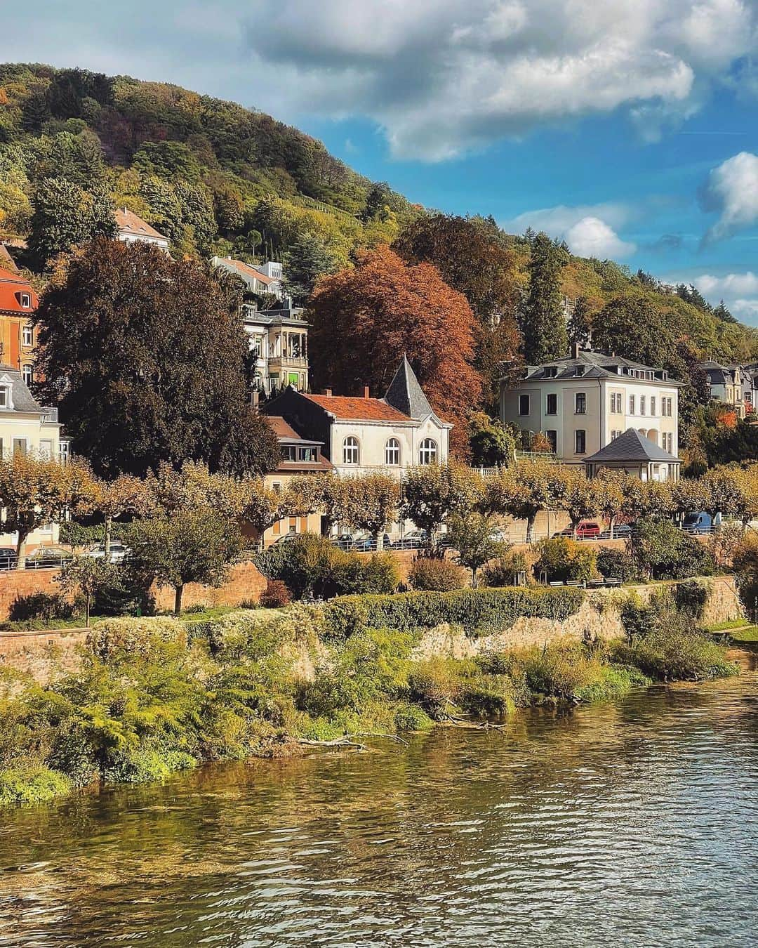 Seyda♥ Travel & Natureのインスタグラム：「One fine day with my dear @simplysaheli in #heidelberg 🍁☘️🍃❤️」