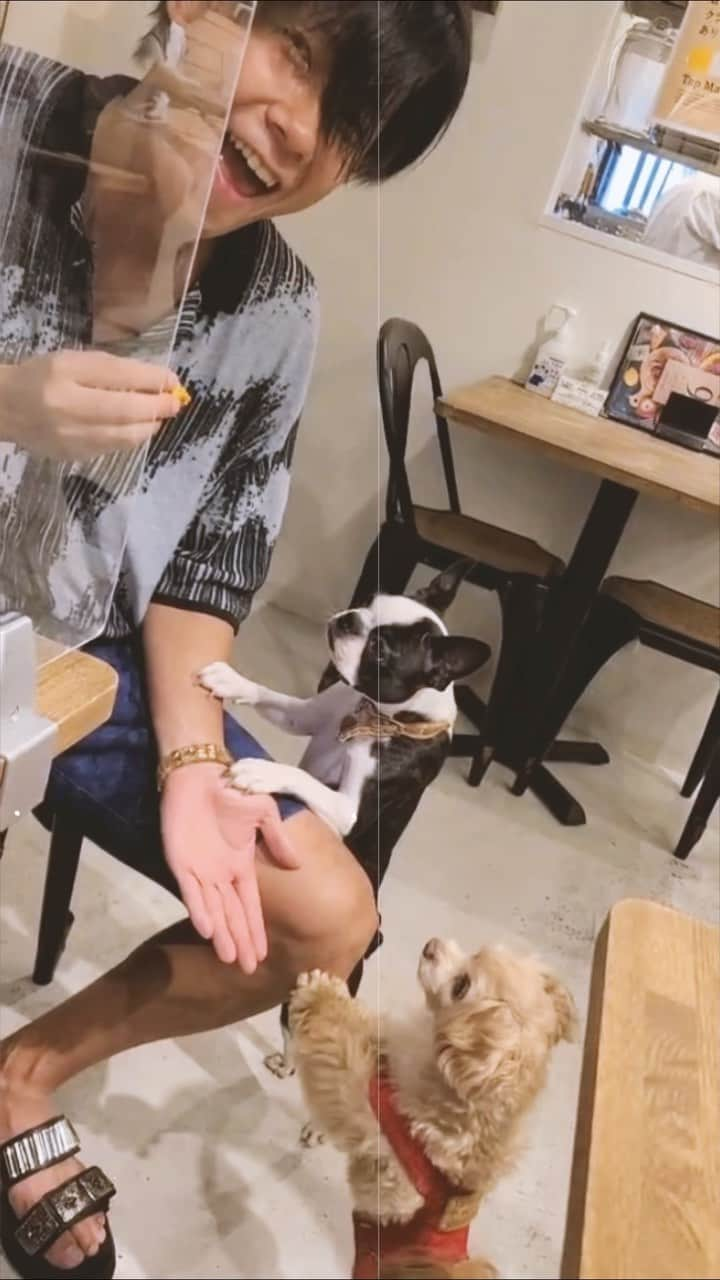 川上大輔のインスタグラム：「戯れられて喜んでるkanata😝🐶」