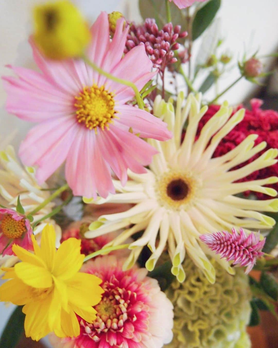 田沢美亜のインスタグラム：「💐」