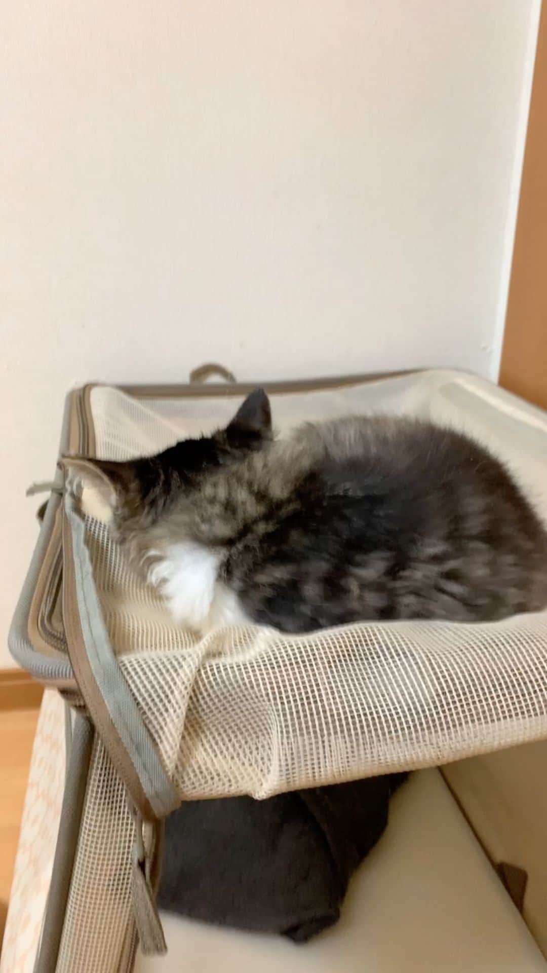のインスタグラム