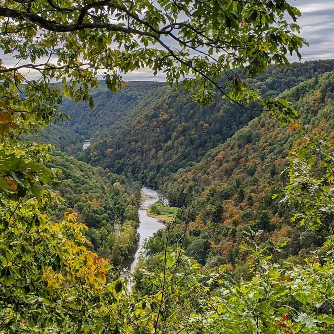 ブリタニ・クラインさんのインスタグラム写真 - (ブリタニ・クラインInstagram)「Last weekend's trip thanks to @thepawilds explored downtown Wellsboro and Coudersport as well as Leonard Harrison State Park and Cherry Springs State Park. It was a great way to kick off October in #Pennsylvania. I mean, check out those views!🌲✨  I'm looking forward to enjoying more of this PA fall weather over the next few weeks before I switch gears to snow mode! 🍂☃️ What are you looking forward to? #PAWilds #FocusonLocal #VisitPA #Fall #Views #Ad」10月8日 22時18分 - official_brittkline