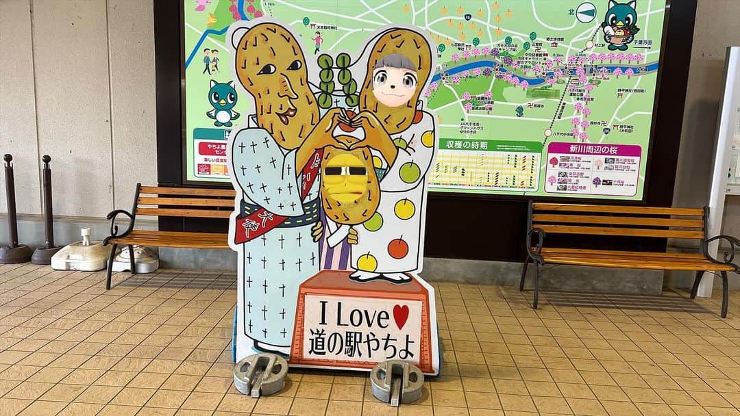甲賀流忍者ぽんぽこのインスタグラム：「ピーナッツに顔をはめるピーナッツ」