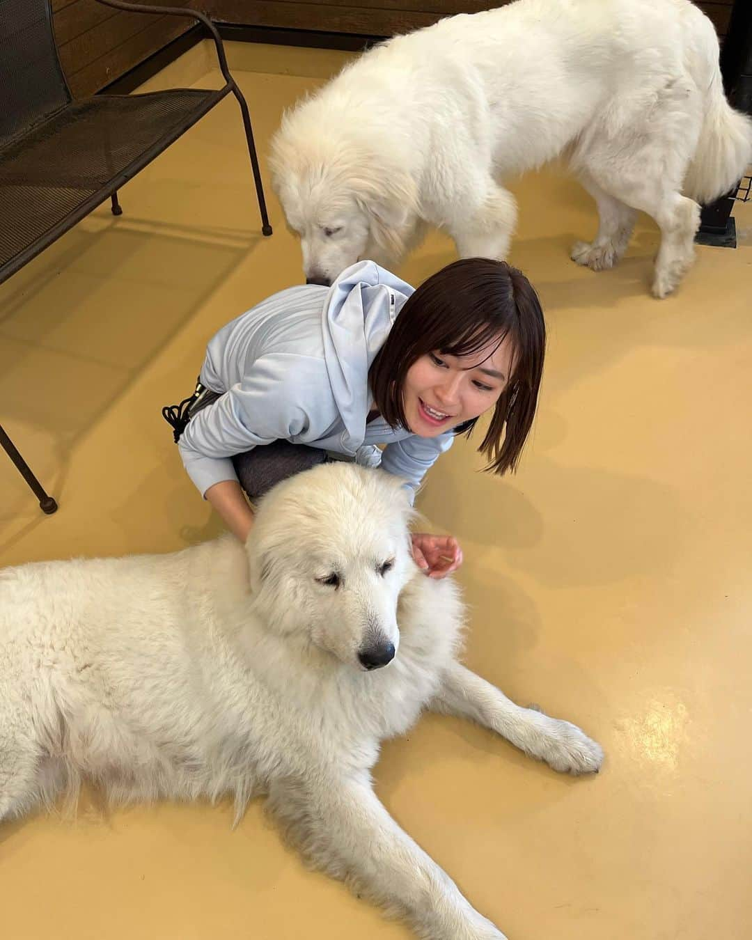 桜田茉央さんのインスタグラム写真 - (桜田茉央Instagram)「犬に取り囲まれて幸せなわい🐕🐩🦮🐶🐕‍🦺」10月9日 9時22分 - sakurada_mao_02