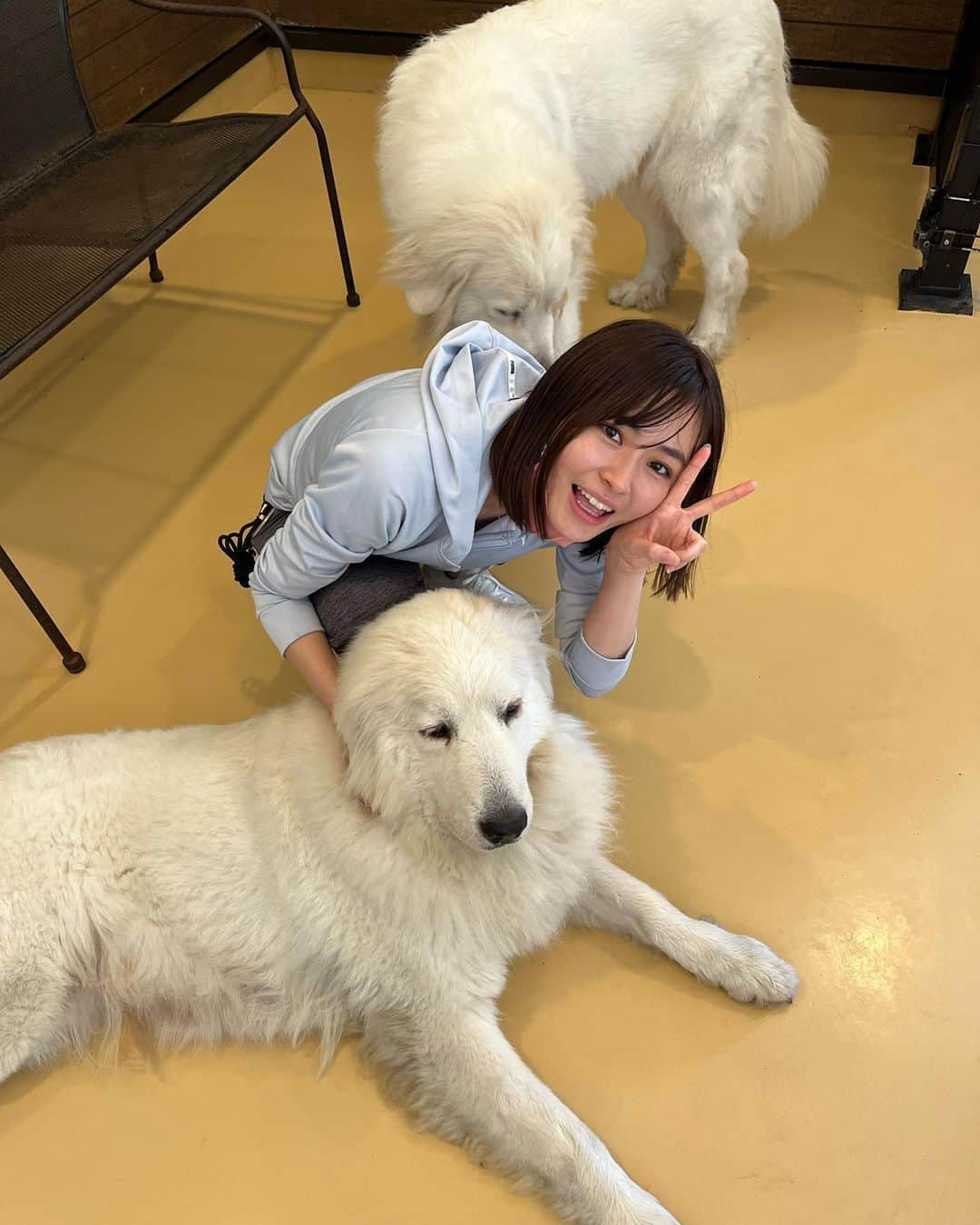 桜田茉央さんのインスタグラム写真 - (桜田茉央Instagram)「犬に取り囲まれて幸せなわい🐕🐩🦮🐶🐕‍🦺」10月9日 9時22分 - sakurada_mao_02