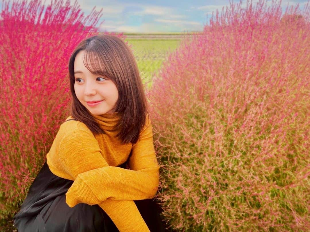 小池里奈さんのインスタグラム写真 - (小池里奈Instagram)「寒くなってきましたねぇ🍂 今年も寒くなる季節が変わるんだなぁ~って感じます😖  最近はロードモバイルというスマホゲームに夢中です📱  チバテレのローモバチャレンジTVという番組で10月10日からゲーム内で行われるギルド共闘で競うので、皆さんよかったら三連休いっしょにゲームしましょ🙋‍♀️❤笑  ぜひお力添えを…🙇‍♀️  チャットでリアルタイムでお話しできて雑談多めのチームとなっております。笑  写真は道端に並んでいたコキアと🌳  皆さん、冷え込んできたので暖かくしてお過ごしくださいね😌  #ローモバ　#ロードモバイル  #loadsmobile」10月9日 10時27分 - koike_rina_93