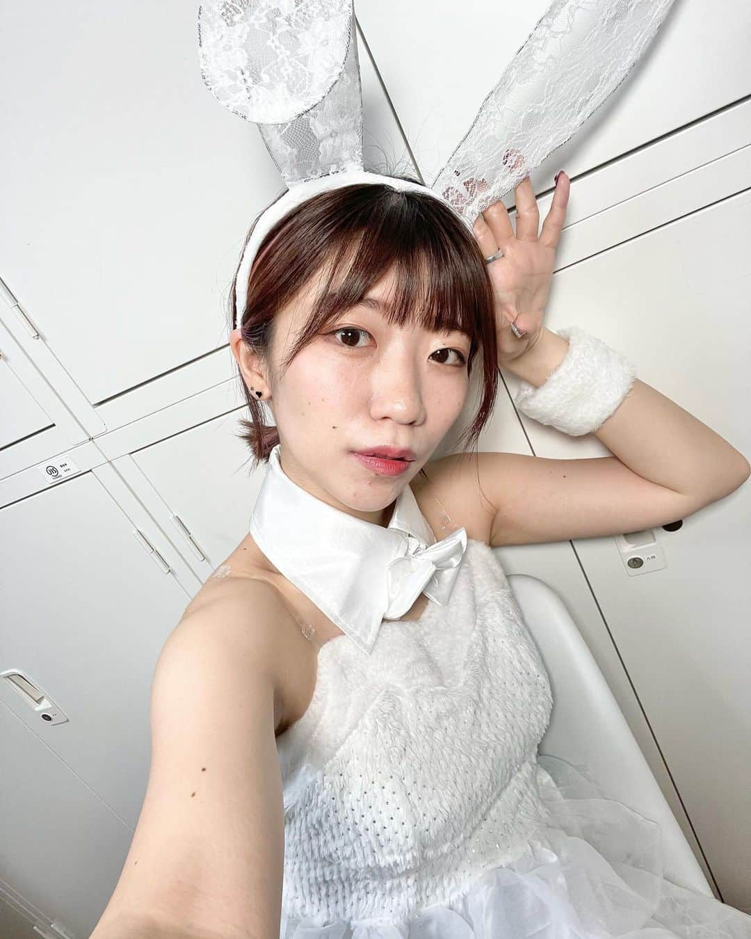 ぱいぱいでか美のインスタグラム：「うさぎ🐇🌕 . 先月の受注チェキ衣装！ セクシーバニーガールは諸事情(月例で話した😂)により断念しましたが 事務所に可愛らしめのうさぎちゃんはあったので 念願のでけぇ耳をつけられました🐰 今月の受注チェキも期間中なので ハイライトから【通販】のとこ見てね👀 今月は👻ハロウィン白雪姫🍎です！ デコチェキいつもこんな感じにデコってるよ〜 っていう参考画像は3枚目です！ デコるの楽しくて好き！ あと他にもハロウィン生写真とか 既存のグッズもかわいいので見てみてください🎃 今回から受注商品とそれ以外も送料まとめられることになったので👏🏻😭 . #でか美ちゃん #コスプレ #うさぎコスプレ #デコチェキ」