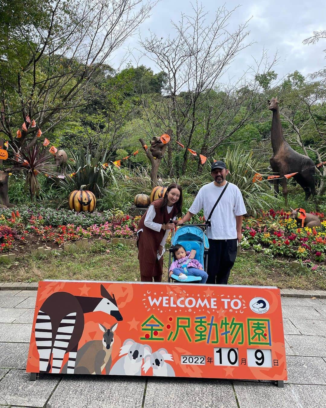 YUKAのインスタグラム：「今日で1歳5ヶ月💓 動物園デビューしたよ🦁❤️  なかなかみんな動かないし背景と同化しちゃって反応薄かったんだけど、ゾウさんとヤギさんだけはテンション上がってた🤣❤️  最近ワンワンとにゃんにゃんの区別が付いてきて真似するんだけど、それ以外はみんなガオーって言う🤣💓  次はライオンさんがいるとこ行こうね🦁❣️  #はじめての動物園 #動物園デビュー #1歳5ヶ月」