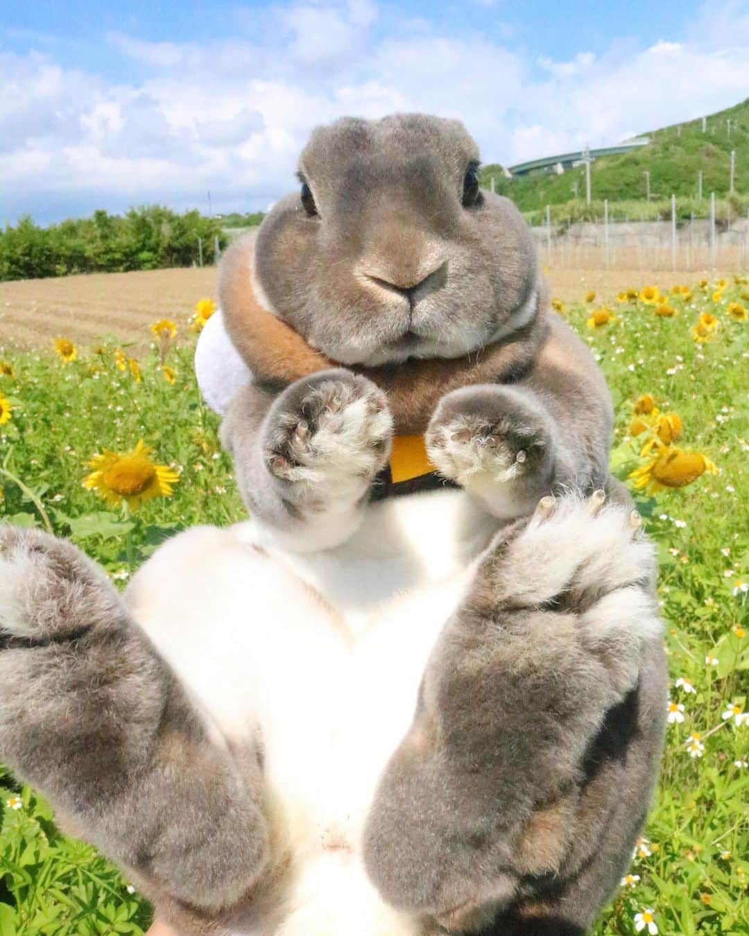 Kayoのインスタグラム：「よかったらグータッチしよ💙」
