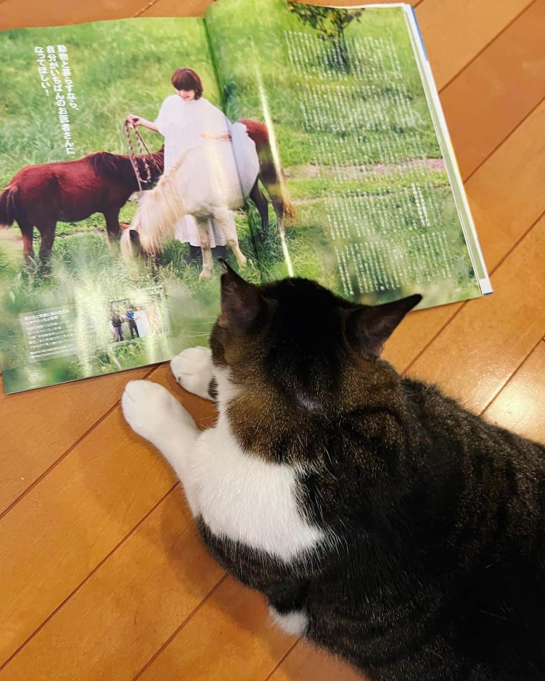 鈴木蘭々さんのインスタグラム写真 - (鈴木蘭々Instagram)「明日発売☺️主に自然や動物等について3ページにわたってインタビューを受けています💨  私達世代が子供の頃に通って来た話題が満載の雑誌☺️  エリマキトカゲ本当に流行ったねぇ〜☺️  エリマキトカゲは昔から👀 そして当然今も地球に存在しているのにブームが去ってしまった為によほど興味のある人以外には殆ど認知されない存在になっております👀  いかに自分の脳内の殆どがその時接して来たメディアからの情報で出来上がっているのかを読みながら再確認してしまいました（笑）  と共にただただ泥団子を作ったり落とし穴を掘ったり（笑）  木に登ったり児童館へ行ってひたすら遊んだり  市営プールに行った帰りに食べたアイスの味や  うまい棒と5円チョコを買い込んで秘密基地で食べるとさらに美味しかった記憶等…  読みながら純粋に時間を楽しんでいた頃にタイムスリップする事も出来ました☺️  私の事なんかに未だ興味を寄せてくれている人達は皆だいたい40歳オーバーの人達が殆どだと思いますけども…👀  数十年なんて意外とあっという間ですねぇ…  フフフ、これからも仲良くしようぜ😎  #昭和50年男 #こうやって時代は進んで行く #皆んなは何年生まれ？☺️」10月10日 10時32分 - lanlan_suzuki