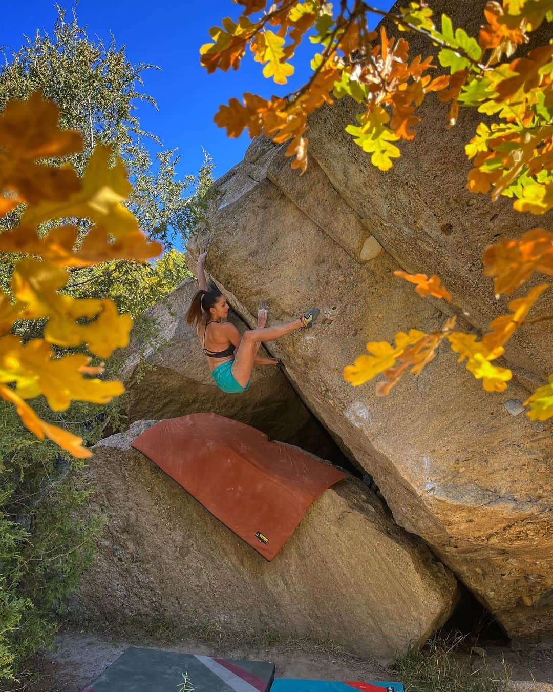 Alexis Mascarenasのインスタグラム：「Punani~Castlewood Canyon🍁  Felt really good to be back climbing after having my hand surgery:)   📸 @a.geiman」