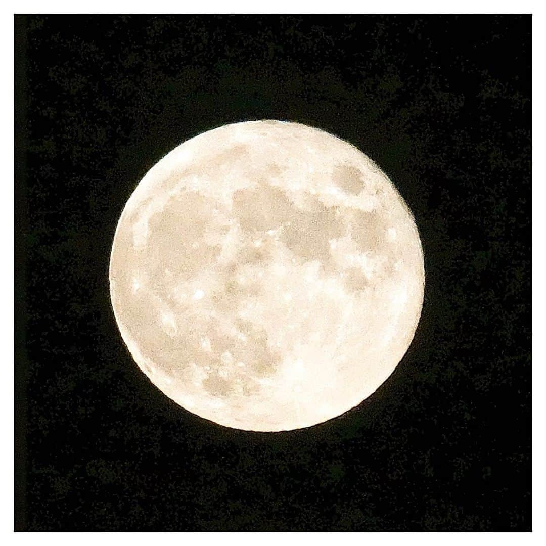 さだまさしさんのインスタグラム写真 - (さだまさしInstagram)「今日の満月🌕 「ハンターズムーン」 10月は月明かりを頼りに、ハンターたちが獲物狩りをする季節であることから、そう呼ばれるとか。 「スポーツの日」 僕にはやっぱり「体育の日」（笑） . #10月の満月 #ハンターズムーン #満月 #スポーツの日 #体育の日 #さだまさし #sadamasashi」10月10日 18時41分 - sada_masashi