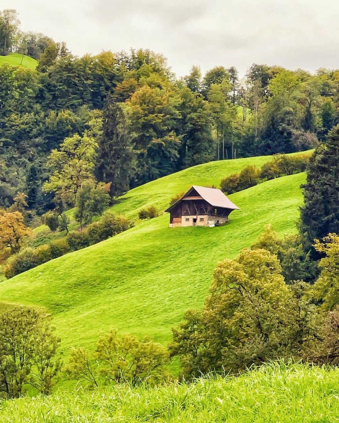 Seyda♥ Travel & Natureのインスタグラム：「First spells of #autumn in 🇨🇭」