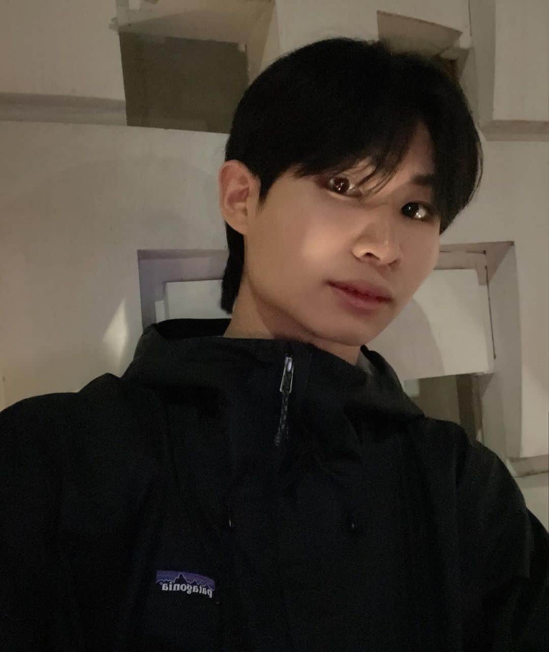 鈴木志音のインスタグラム：「最近やっと涼しくなってきたネ︎︎︎︎︎☺︎︎︎︎✌︎ 秋は紅葉見に行きたい！🍂 . . .#おんおん日記」