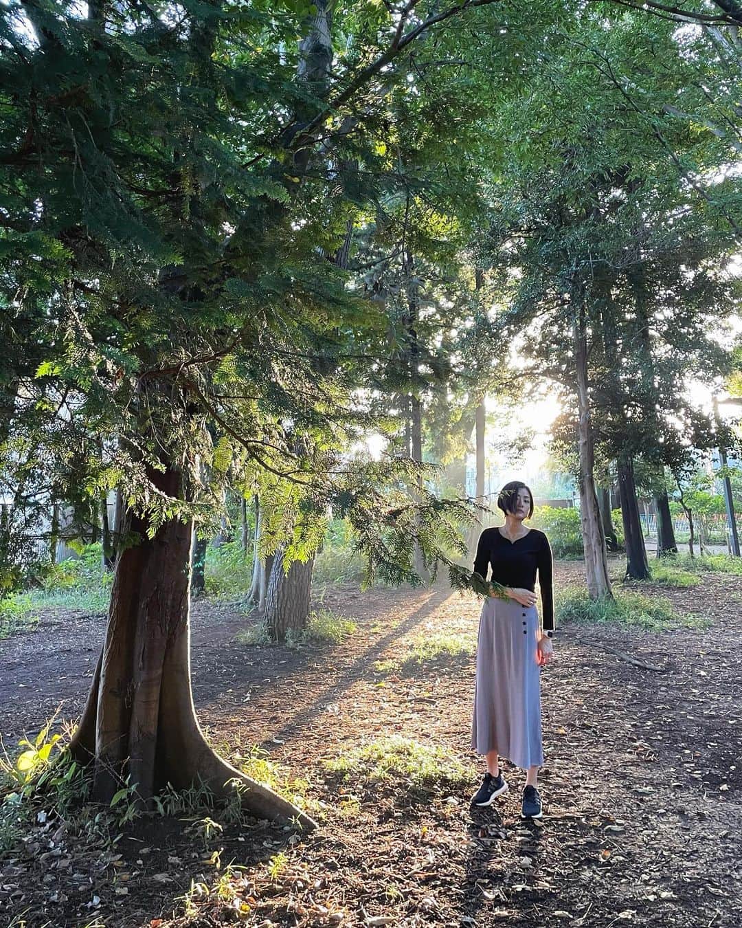 片山萌美のインスタグラム：「🌿  filtered sunlight of trees   #moemikatayama」