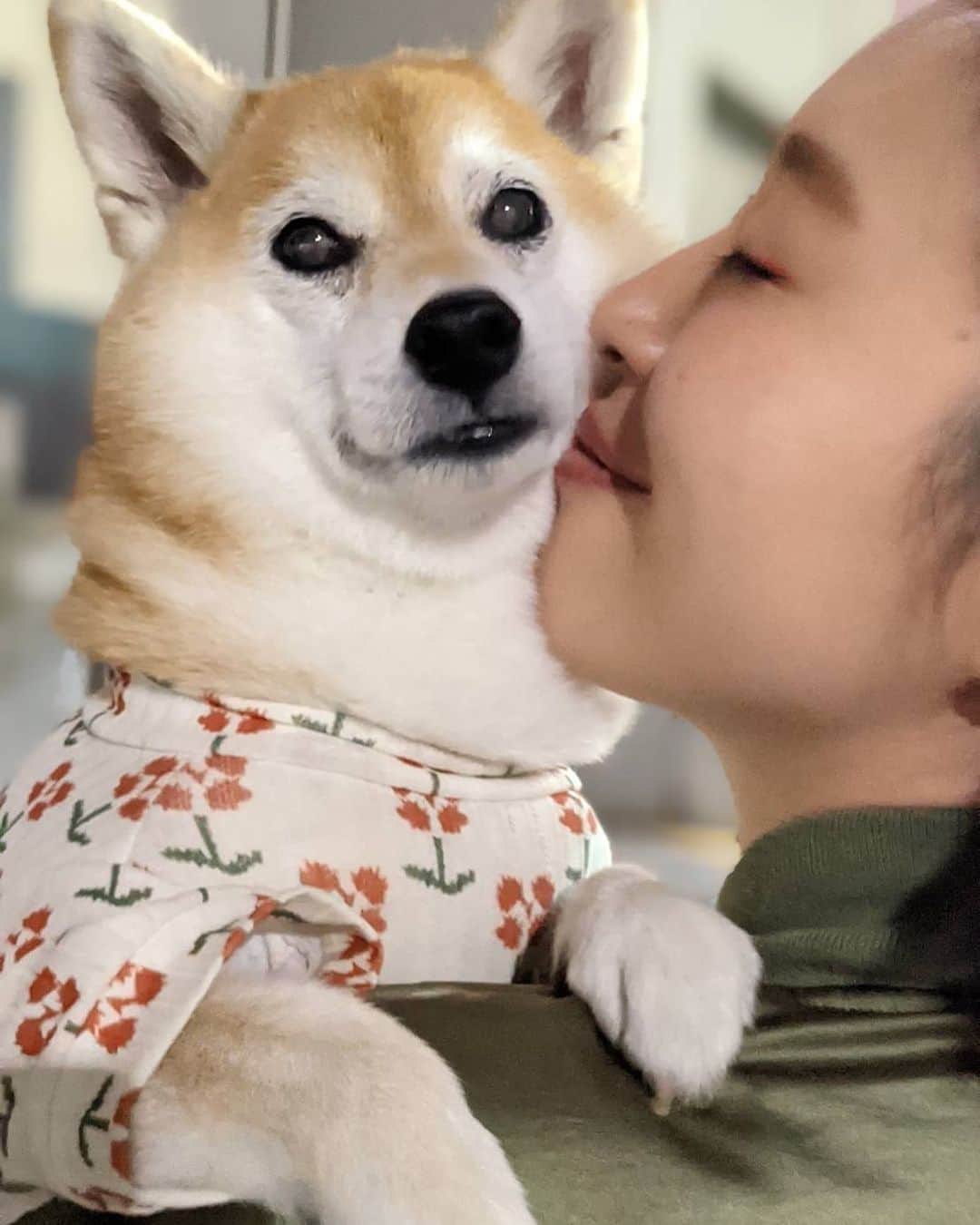 宇都宮まきのインスタグラム：「今日は吉本新喜劇祭りで １年以上ぶりに舞台に立たせて貰って 皆さんに会えて嬉しかったのに 写真を１枚も撮るの忘れてた🤣 こんな事ある⁉️ まじオカルト〜🥲🥹🤞🥴cry なので、おまちゃん🐕と満月🌕を見てる写真🤳 選んで下さった皆さん、舞台や配信で見て下さった皆さんありがとうございましたm(_ _)m またいつか新喜劇の舞台に立てるよう、 今は子育て頑張ります☺️ 皆さん本当にありがとうございました！！！！！！！！！！！！ ばいばーいヽ(´▽｀)/♡」