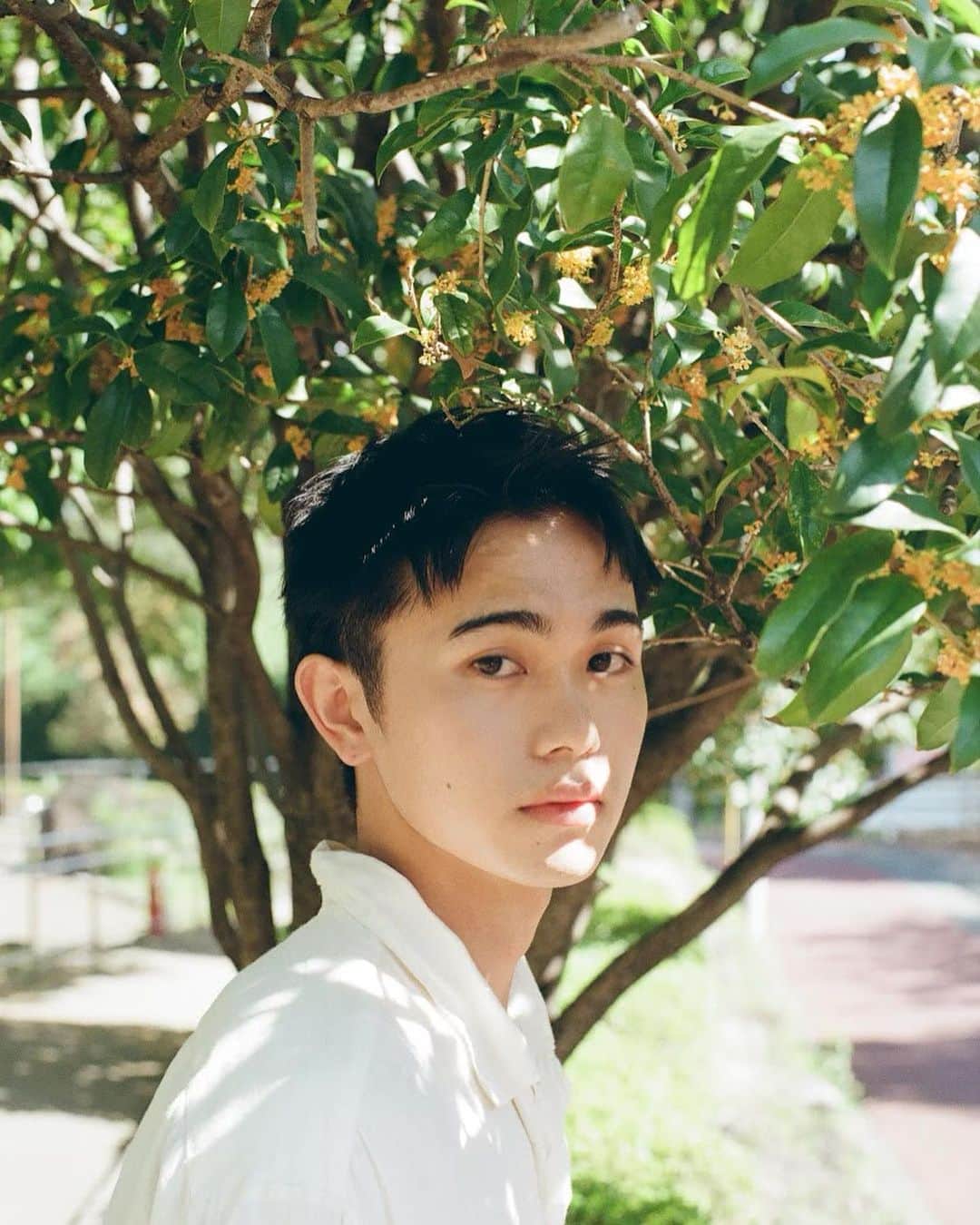 坂田秀晃のインスタグラム：「photographer @383ura」