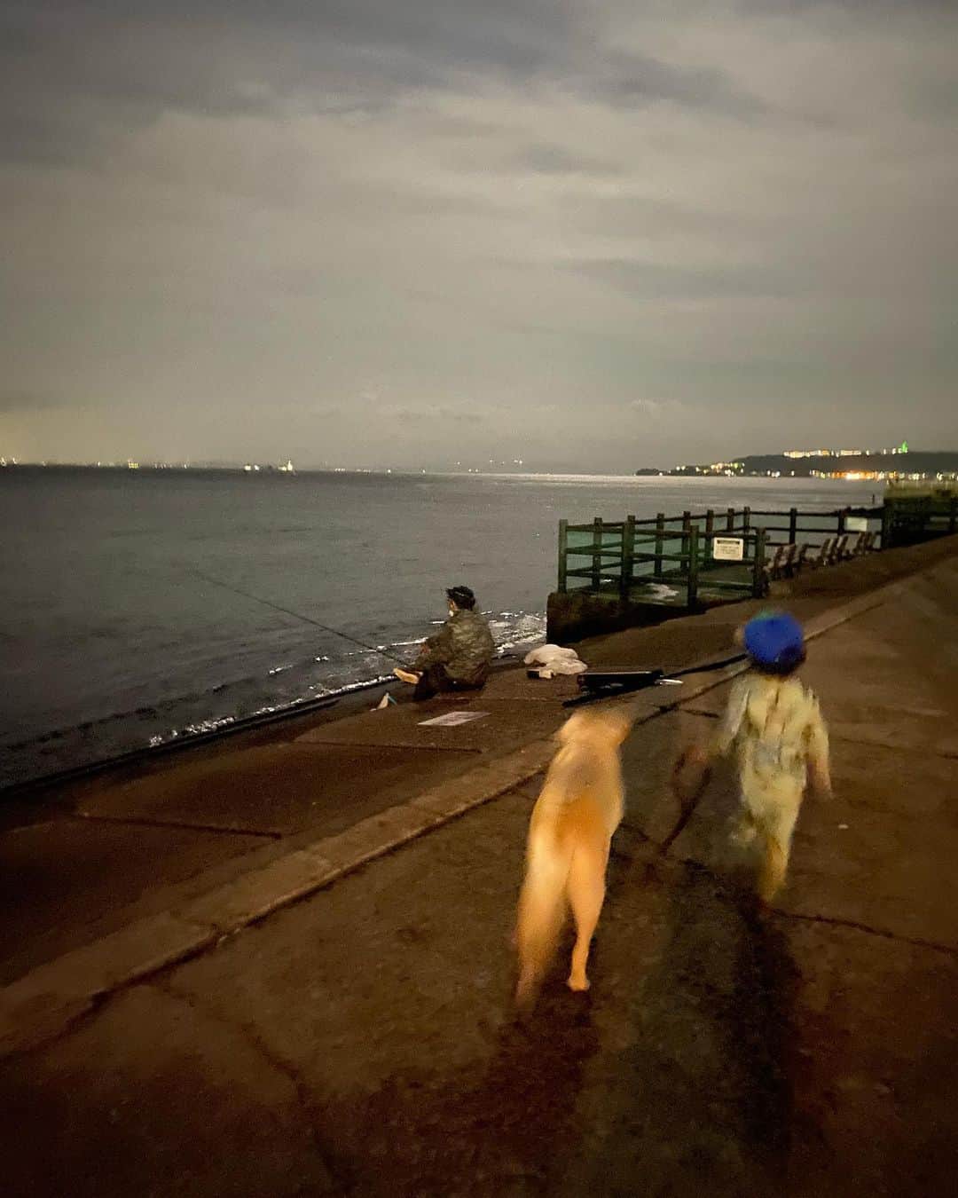 滝川クリステルのインスタグラム：「夜の海風公園🌉 アリスさんとの散歩が楽しいらしい🚶 風が気持ちいいね😊👍 #猿島 #滝川クリステル」