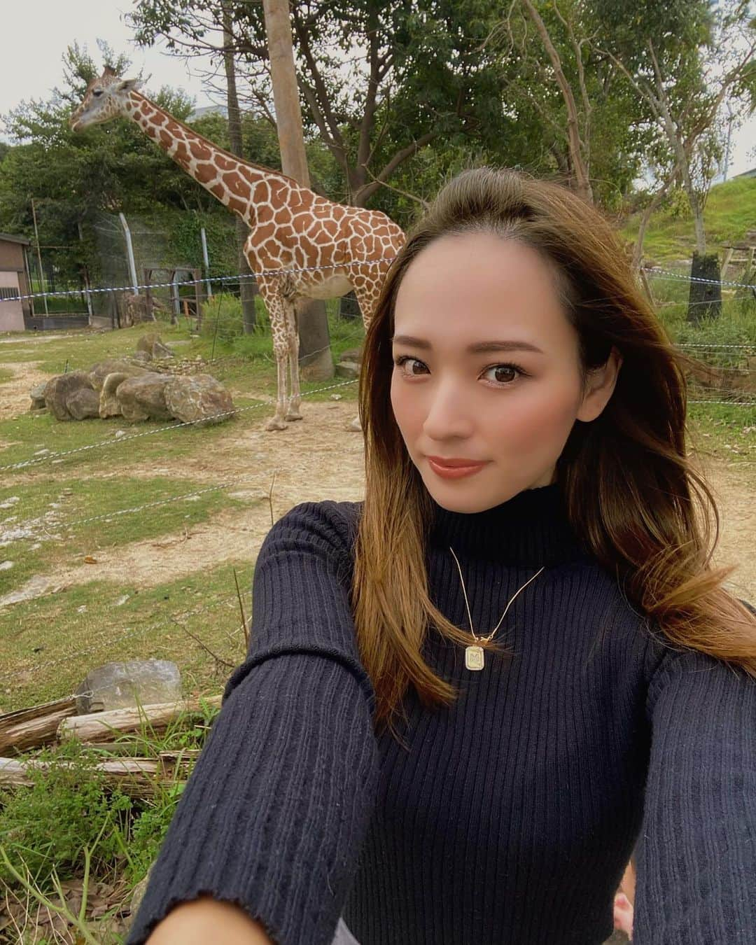 中尾みほさんのインスタグラム写真 - (中尾みほInstagram)「🦒🦒🦒🦒🦒  #アドベンチャーワールド#キリン #🦒#和歌山#和歌山観光#観光地  #白浜#白浜観光#japan#japantravel」10月11日 9時48分 - mihochan18