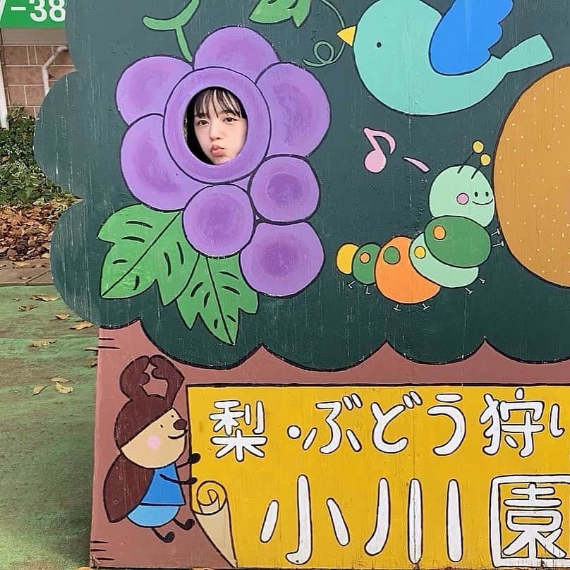 谷口朝香のインスタグラム