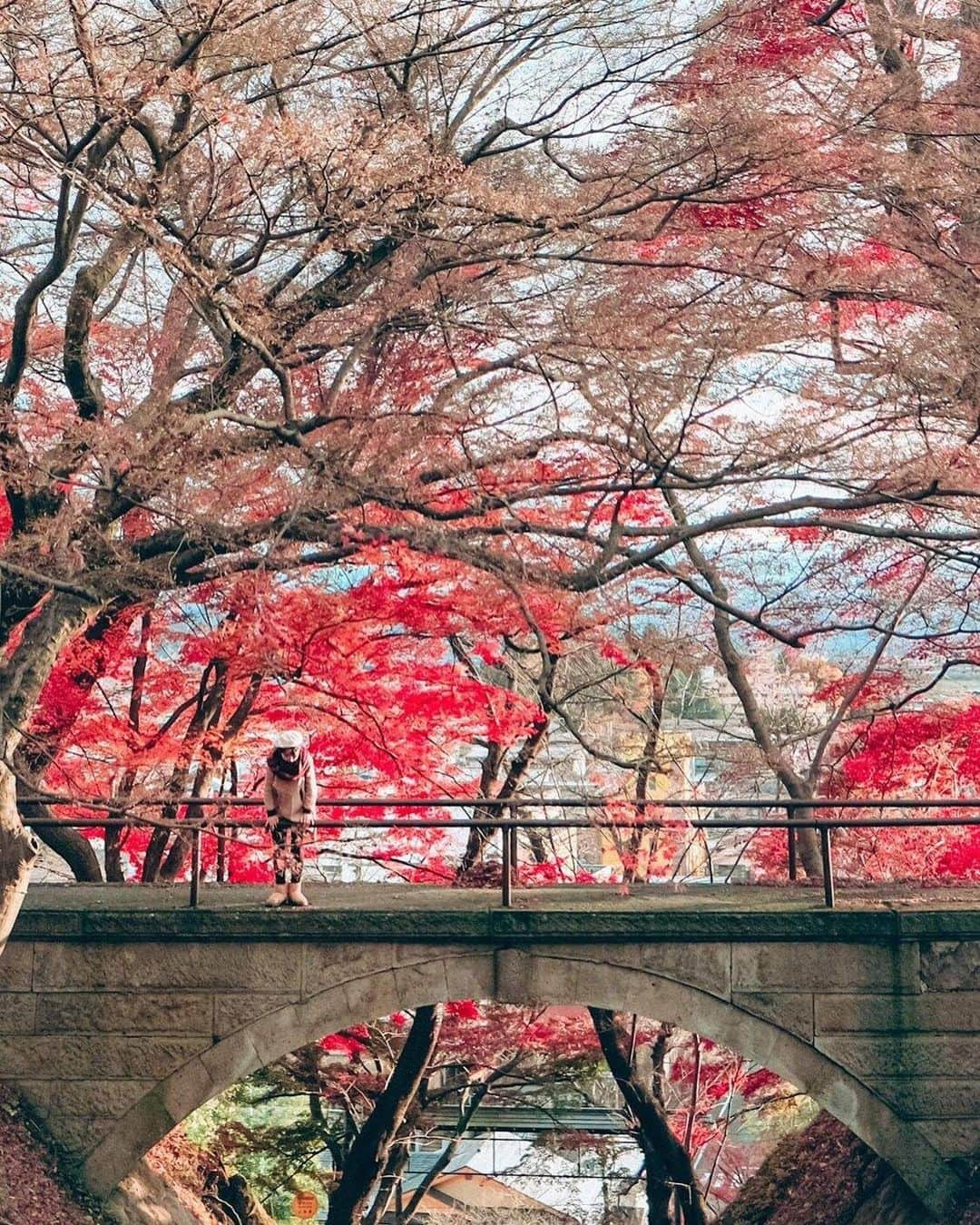 Stayway女子さんのインスタグラム写真 - (Stayway女子Instagram)「【📍山形県・南陽市】 ——————————————— 東北随一の紅葉の名所として知られる山形県の #烏帽子山公園 （えぼうしやまこうえん）  例年10月下旬〜11月中旬に見頃を迎えます🍁 ——————————————— 素敵な女子旅をされている方をご紹介させていただきます！✨ こちらの写真は @____amerinco____ さんがアプリへ投稿してくださいました😄魅力が伝わってくる素敵な投稿ありがとうございました🎵 ⁡ #Stayway女子旅 というハッシュタグをつけて是非投稿してください♪ Instagramにてご紹介させていただきます！ ——————————————————— AppStore又はGooglePlayで「stayway」を検索！トラベルクリエイターがリアルな口コミを情報発信！エリアでの絞り込みや位置情報でも投稿を探せます😌  ステキなお出かけや旅の思い出を記録していきましょう🎵優先的にインスタでシェアさせていただきます！ ——————————————————— 真っ赤なもみじが美しいことで有名な烏帽子山公園。レトロな橋とあいまってとても美しい景観をつくっています。落葉がはじまると橋の下の階段は真っ赤な絨毯に覆われます。ここに来ると、子供達は橋の上から葉っぱを落とす遊びに熱中します（笑） ————————————————— #stayway_girls #stayway_yamagata #山形観光 #山形旅行 #東北旅行 #東北観光 #南陽市 #紅葉狩り #女子旅 #東北女子旅 #東京カメラ部 #旅行好き #国内旅行 #プチ旅行 #週末旅行 #フォトジェニック #フォトジェニックスポット #映えスポット #絶景スポット  #山形女子旅 #秋旅行 #紅葉の名所」10月11日 20時35分 - stayway_girls