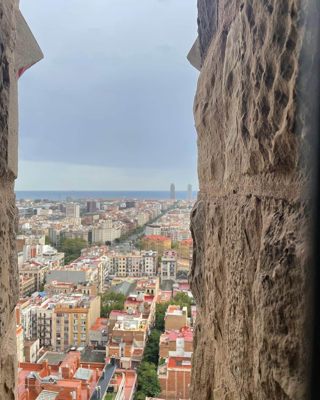 神谷明采さんのインスタグラム写真 - (神谷明采Instagram)「【Spain🇪🇸 編】　 〜Barcelona, Madrid,Toledo〜   スペイン料理が大好きで第二外国語としてスペイン語を選択するほど行きたかったスペイン……期待通り最高の国でした🥘🦐🍷  《Barcelona》  　バルセロナは、世界で一番のお気に入りの都市の一つになりました🌴 バルセロナと言えば、サグラダファミリアを始めとする世界遺産のガウディ建築群です🏰 私は、サグラダファミリア、カサバトリョ、グエル公園を訪れました。外観しか知らなかったサグラダファミリアでしたが、内側はなんと虹色の世界でした。入り口を通った時の感動は一生忘れられません……☀️ また、海がモチーフのカサバトリョ、バルセロナを代表するカメレオン（？）のあるグエル公園は、どちらもおとぎ話の中に出てくるような素敵な場所で、これらの建築物を100年以上前に作っていたことが信じられませんでした🌊🏝🐚 　楽しみにしていたスペイン料理は期待通りの美味しさでした😋 最初に入ったお店でパエリアを頼んだら、真っ黒のイカスミの素麺のようなパエリアが出てきて最初はビックリしましたが、すぐにハマりました🥘 　お酒に関しては、定番のサングリアも最高でしたが、tinto de verano（ティント デ ベラノ）という赤ワインとレモンソーダのカクテルが本当に美味しかったです🍋🍷 このお酒はバスで現地の日本人の方に教えて頂いたものです！本当にありがとうございます😆 　日本に帰ってきてから、スペイン出身の知り合いに「バルセロナ」は日本の「京都」だよ、自分の都市を特別だと思ってるんだよと教えてもらい、目から鱗でした……知らなかった………👀  《Madrid》  　特急列車でバルセロナからマドリードに半日かからずに移動することができました！ 主に美術館と王宮を回ったのですが、王宮から臨む広大な自然に心を打たれ、夕焼けの王宮は筆舌し難い美しさでした🏰👸 これから行く予定のある方は行くことを強くお勧めします！ 　プラド美術館、ソフィア王妃芸術センターも素敵でした👩‍🎨 フランスに比べて個性的な画家が多いと改めて感じました。ゴヤもピカソもダリも鮮烈…………やはりゴヤの『1808年5月3日』の印象が本当に強かったです……今まで写実的な絵画に心を奪われることが多かったのですが、この絵画は力強さとメッセージ性が他の絵画とは圧倒的に違うと感じました…学生証があると無料で入れるのでオススメです…………… 私はここで学生証を無くしました……🤣  《Toledo 》  　トレドは、キリスト教・イスラーム・ユダヤ教三つの文化の混ざりあう美しい世界遺産の城塞都市です。西ゴート王国の首都トレドは、8世紀にイスラーム勢力に征服されるも、11世紀レコンキスタにより再びキリスト教勢力下に置かれます。初めて街を見た時、私の思う中世の都市そのものでした。石造りの門に橋、まさしく城塞でした。街の中は細い路地に急な坂道、坂道、坂道………とにかく坂道ばかりでしたが、一つ一つが可愛らしい路地で街を歩いていても辛くありませんでした！ 　トレドに行ったら是非マザパンを食べてみてください……坂道で疲れた体に沁みます…🤣  　スペイン語を復習していかなかったことが唯一の悔いですが、それ以外は最高の滞在でした！  また行きたい国ランキング圧倒的一位🇪🇸🥘☀️  Adiós👋  #spain #barcelona #madrid #toledo #sagradafamilia #casabatllo #parkguell #ひとり旅」10月11日 20時57分 - asa_kamiya