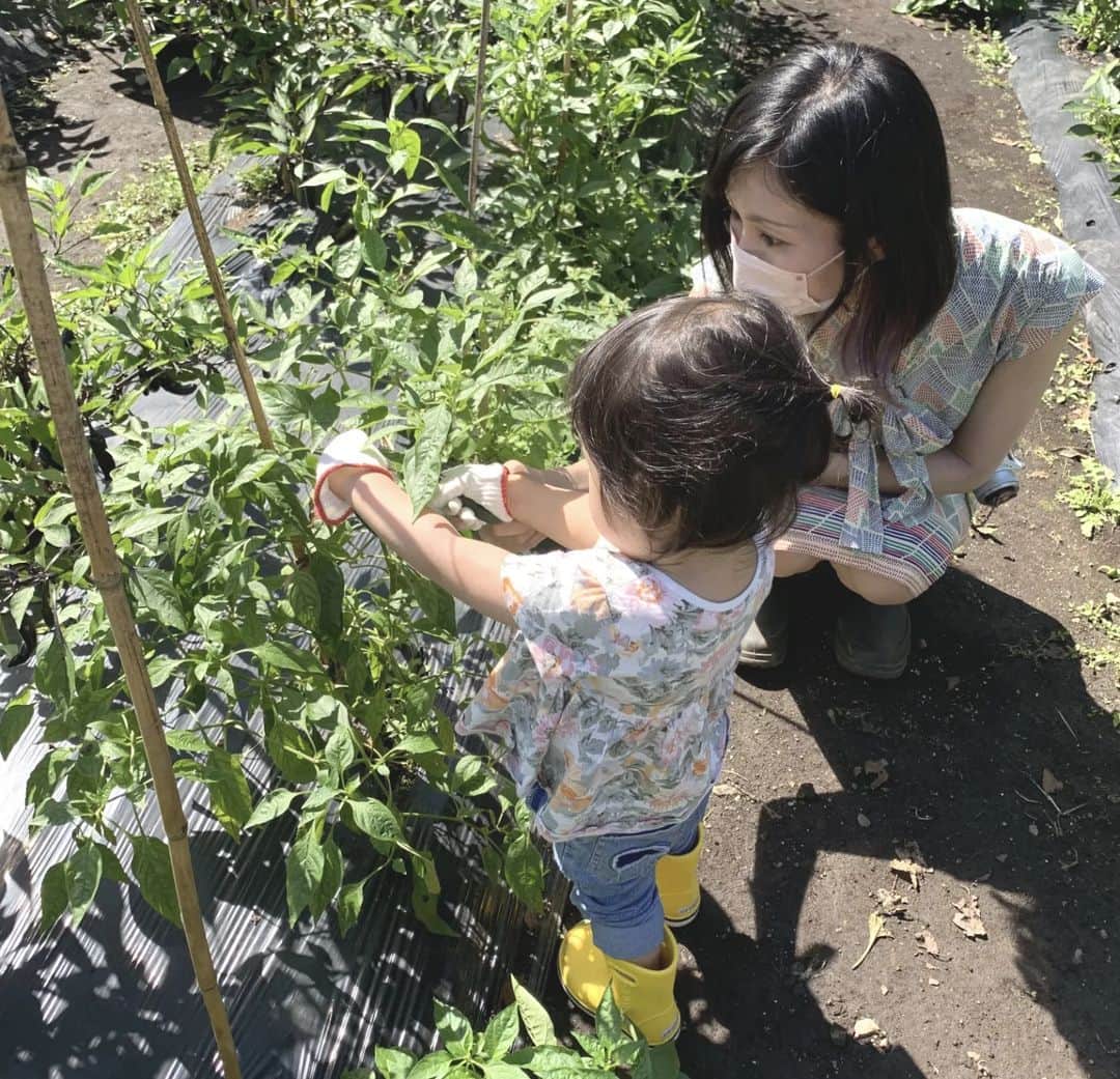 酒井千佳さんのインスタグラム写真 - (酒井千佳Instagram)「* 先月2泊3日で行った那須。  渓流とか滝とか農作業体験とか たくさんの自然とふれあってきたよ。  娘は 大好きなミニーちゃんと一緒で 終始テンション高く よく食べてよく歩いて ごきげんでした。  #子連れ旅行 #子連れのお出かけ #栃木旅行 #那須旅行 #木の俣渓谷 #おしらじの滝 #リゾナーレ那須 #農作業体験 #収穫体験」10月11日 22時18分 - sakaichikaaaa
