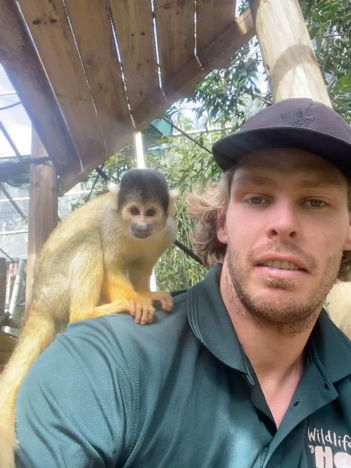 ジェイク・パッカードのインスタグラム：「Finished my placement at the zoo. What an cool experience this guy though squirrel 🙉」