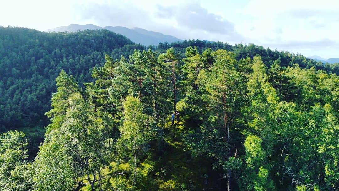 スルギのインスタグラム：「📍TJELMEN - Find me🔍  #norway  #nature  #naturephotography  #europe  #dji  #photography」