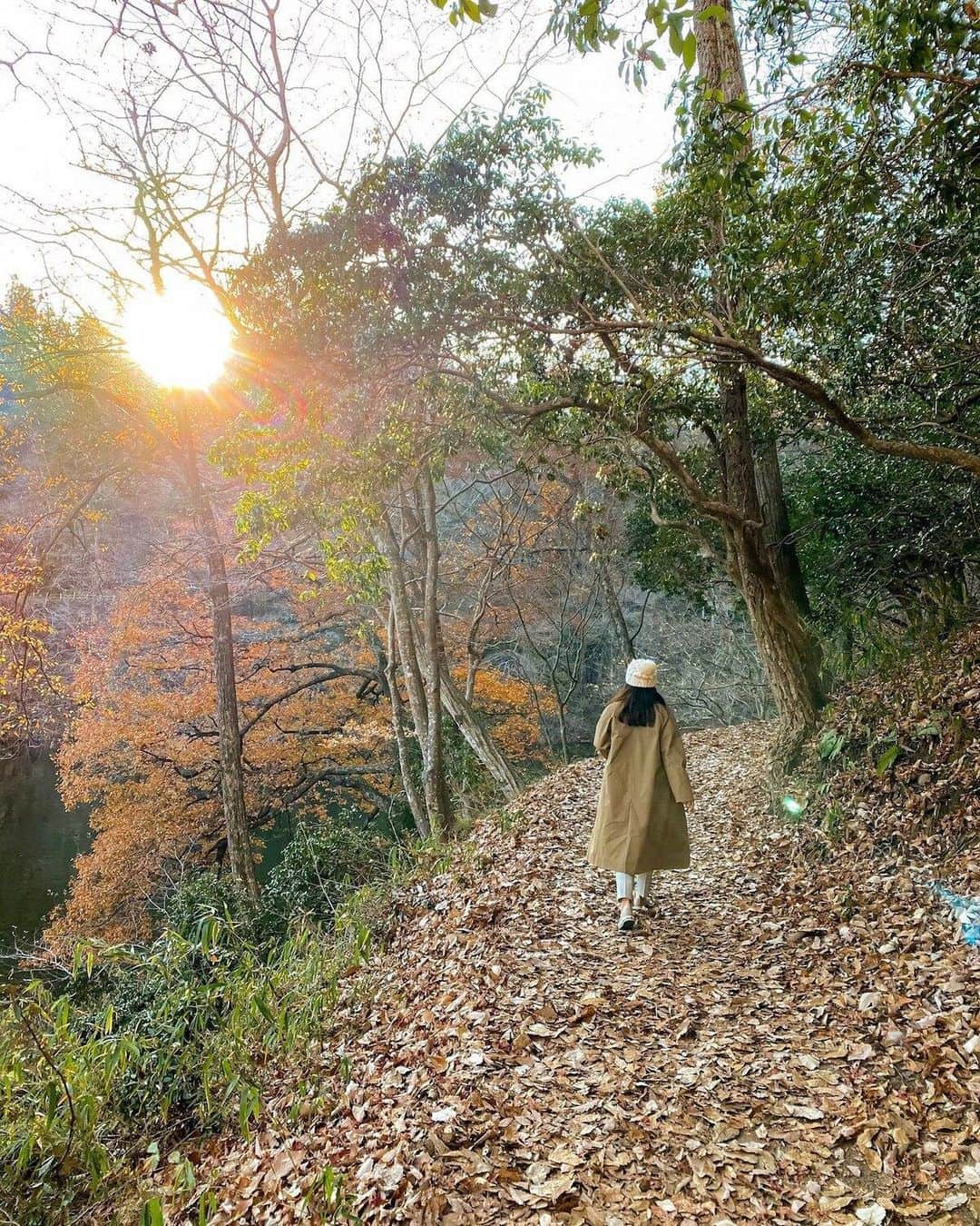 Stayway女子さんのインスタグラム写真 - (Stayway女子Instagram)「【📍広島県・庄原市】 ——————————————— 真っ赤な鉄橋が印象的な #帝釈峡  紅葉の名所として知られ、美しい自然の見どころがたくさんあります🍁💛 ——————————————— 素敵な女子旅をされている方をご紹介させていただきます！✨ こちらの写真は @moe_matsui さんがアプリへ投稿してくださいました😄魅力が伝わってくる素敵な投稿ありがとうございました🎵 ⁡ #Stayway女子旅 というハッシュタグをつけて是非投稿してください♪ Instagramにてご紹介させていただきます！ ——————————————————— AppStore又はGooglePlayで「stayway」を検索！トラベルクリエイターがリアルな口コミを情報発信！エリアでの絞り込みや位置情報でも投稿を探せます😌  ステキなお出かけや旅の思い出を記録していきましょう🎵優先的にインスタでシェアさせていただきます！ ——————————————————— 📍帝釈峡 広島県庄原市と神石高原町をまたがる「帝釈峡」は、国の名勝にも指定されている広島を代表する景勝地です🌞  見所もいくつかあって、赤い橋の神龍橋や自然にできた天然橋の雄橋など、自然の中を散策するのが楽しい場所です🌿　ちなみに、この雄橋は世界三大天然橋のひとつだそう！  帝釈峡は、広島の紅葉の名所のひとつでもあるので、紅葉の時期に訪れるのも◎🍁  結構歩くので動きやすい服装がいいです🙆‍♀️ ————————————————— #stayway_girls #stayway_hiroshima #広島観光 #広島旅行 #庄原 #庄原観光 #紅葉狩り #女子旅 #広島女子旅 #東京カメラ部 #旅行好き #国内旅行 #プチ旅行 #週末旅行 #フォトジェニック #フォトジェニックスポット #映えスポット #絶景スポット #紅葉の名所 #秋旅行」10月12日 18時11分 - stayway_girls