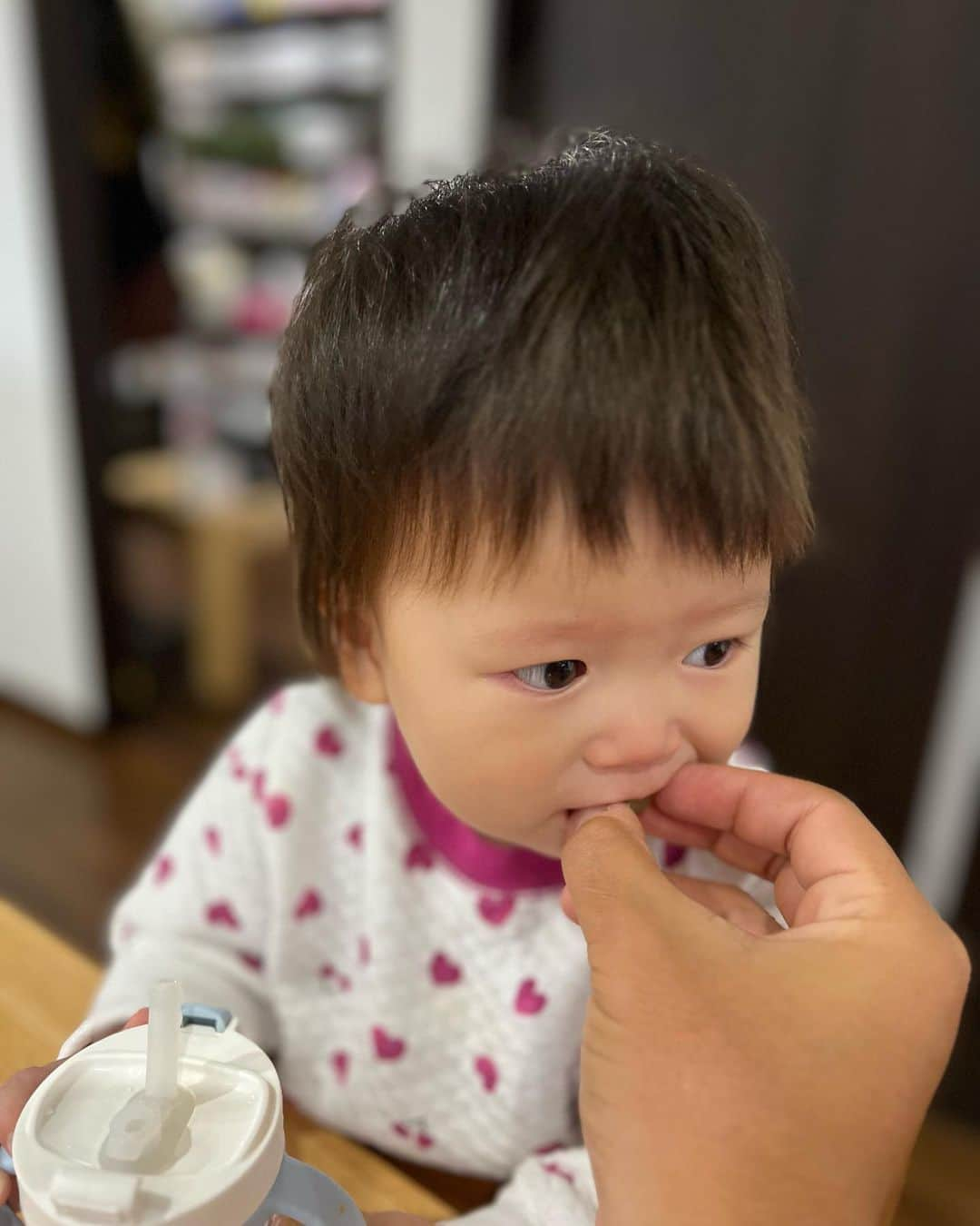 紀氏隆秀さんのインスタグラム写真 - (紀氏隆秀Instagram)「@uminomieruoka1980 の シャインマスカット‼️  めっちゃうまい😋  末っ子も、お気に入りでめっちゃ食べる‼️笑  @uminomieruoka1980 ありがとうございました‼️  #シャインマスカット #京丹後 #めっちゃうまい #お気に入り」10月12日 15時11分 - hidegoli