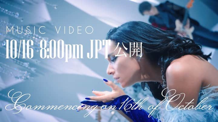 女王蜂のインスタグラム