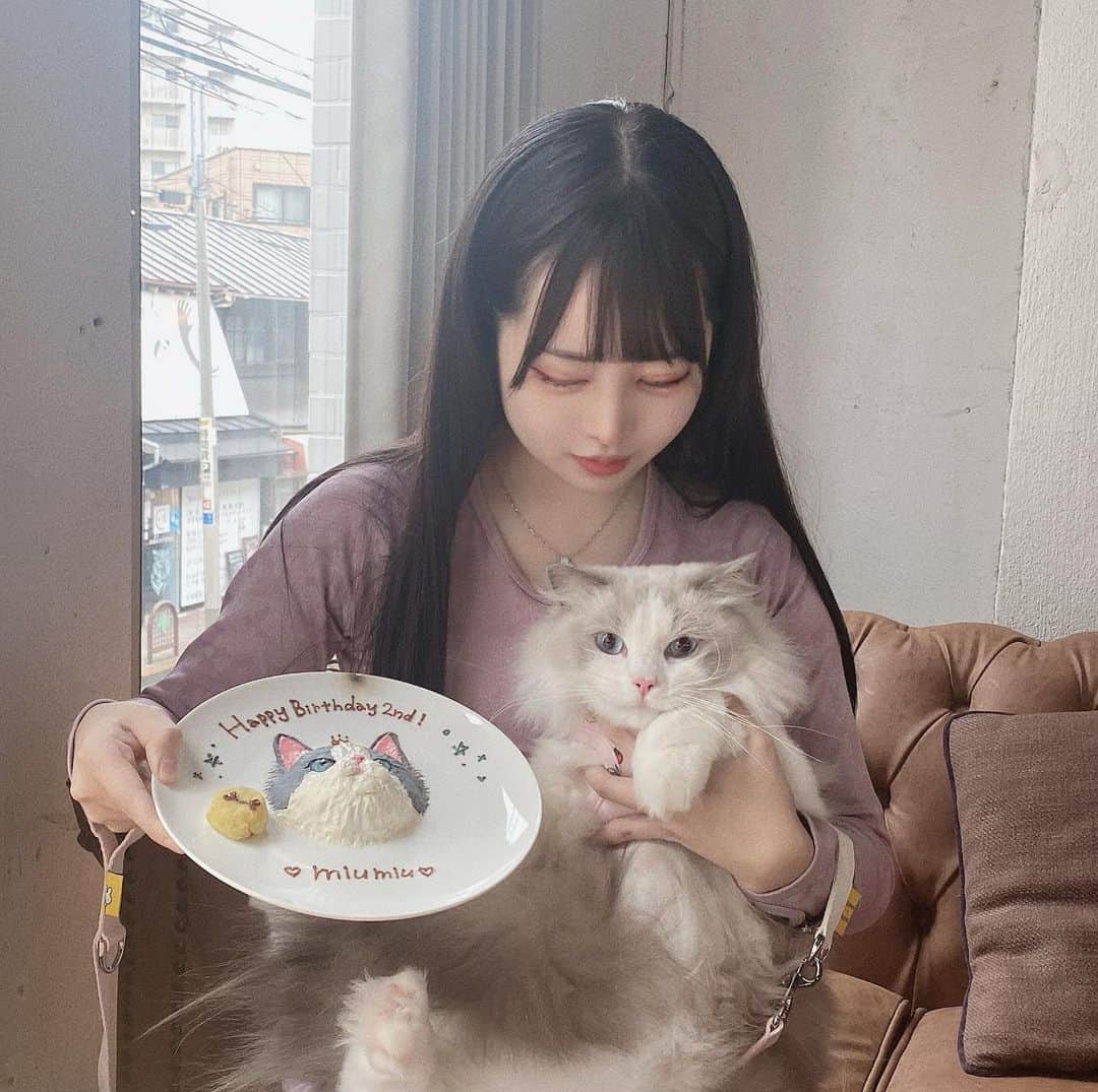 SHIORIさんのインスタグラム写真 - (SHIORIInstagram)「. . 久しぶりに白金に行った❣️ . . anea cafeは以前、参宮橋の ところに行ったけど今回は 白金にしたよ❣️ . . 友達の犬🐶ちゃんも連れて 賑やかなお誕生日会になった💓 . . あんまり大々的に祝えて なかったので( ᐡ. ̫ .ᐡ )♡ . . 犬の顔、猫の顔ケーキ🎂 . . うちの猫さんは食べてくれなかった... . . #aneacafe #カフェ #カフェご飯 #白金高輪 #白金 #愛猫 #ラグドール #ragdoll #成猫 #もふもふ」10月12日 21時33分 - sweetshiorin