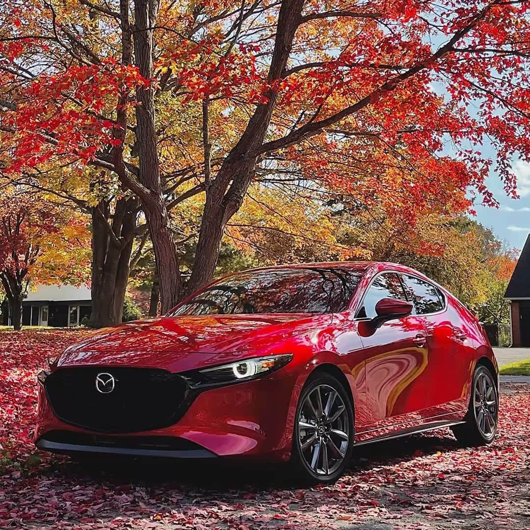 MAZDA Canadaのインスタグラム：「We want to see your best Fall colours! Share your Mazda Fall foliage pics with us at the link in bio​ for a chance to be featured on our channels, or you can tag us @mazdacanada on social. #MazdaCanada #MazdaPhotoHub​ 🔴​ Montrez-nous vos plus belles couleurs d’automne ! Partagez vos photos de paysage automnal Mazda avec nous en cliquant sur le lien dans notre bio pour avoir une chance de les voir sur nos pages, ou mentionnez @mazdacanada sur les réseaux sociaux.​ #MazdaPhotoCommunaute  📷: Phélix Marcotte, Marco Pilon, @CNoLA6Znezg​」