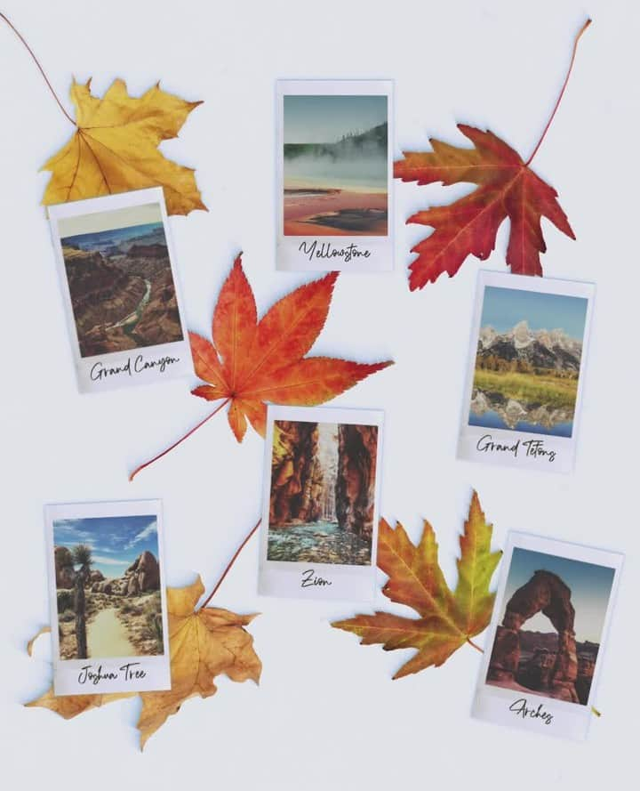 Fujifilm Instax North Americaのインスタグラム：「Wow, autumn looks good on us 😉🍁⁠ .⁠ .⁠ .⁠ #DontJustTakeGive⁠ #InstaxMiniFilm⁠ #FallVibes⁠ #Travel」