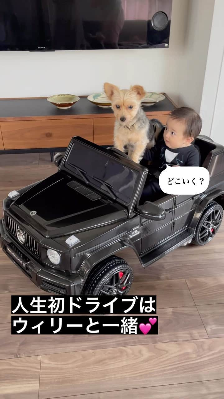 Willy Wonkaのインスタグラム：「🚗  ちちとお揃いの 黒のゲレンデを お祝いにもらったよ🎁  くまちゃんさん ありがとうございます😊  #👶🐶 #赤ちゃんと犬  #犬と赤ちゃん   #ゲレンデヴァーゲン  #メルセデスベンツ  #g400dmanufakturedition  #mercedesbenz   #babyboy #babyfashion #firstbaby  #babycute  #babymodel  #japanesebaby   #赤ちゃんのいる生活 #赤ちゃんのいる暮らし #育児日記 #新米ママ  #新米パパ #男の子ベビー #0歳 #生後6ヶ月  #2021年11月生まれ  #成長記録 #子育てグラム」