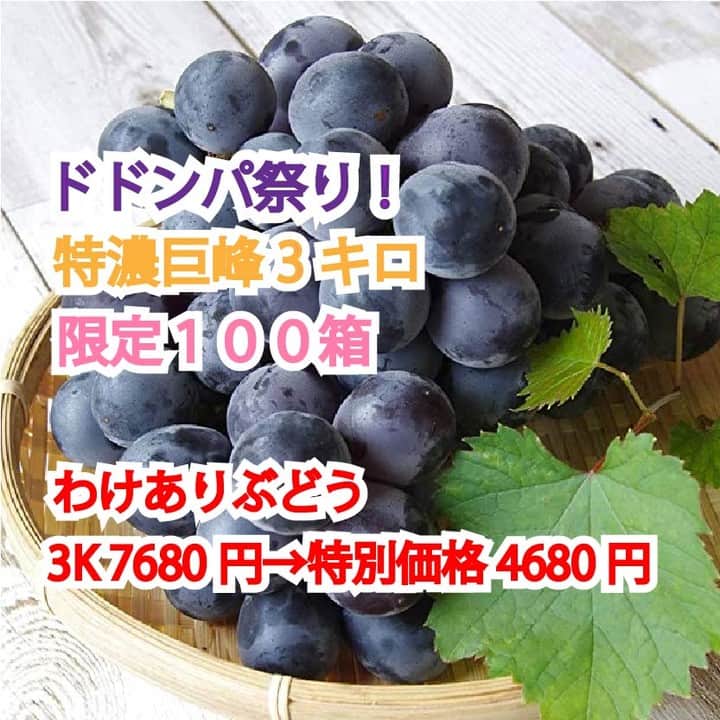 ツチと実のインスタグラム：「巨峰！限定！１００箱第二弾！　　ドドンパ祭巨峰３キロ４キロ（ワケアリ）追加！２０２２年！  いつも、ぶどう農園『ツチと実』をご利用いただき誠に ありがとうございます。  即完売しました、第一弾に続き 追加で、もう少し収穫できたので、第二弾を行いたいと思います。 もし、第一弾でご購入できなかったお客様がいましたら是非お求めください。  ━━━━━━━━━━━━━━━━━━━━━━━━━━ ■お得情報 ドドンパ巨峰祭り　限定１００箱（第一弾） ━━━━━━━━━━━━━━━━━━━━━━━━━━ ★巨峰！限定！１００箱　　ドドンパ祭巨峰３キロ４キロ（ワケアリ）お急ぎください！ http://hototo.shop-pro.jp/?mode=cate&cbid=2197507&csid=0  　 ３K ７６８０円→特別価格４６８０円 http://hototo.shop-pro.jp/?pid=108065650  ４K ８８８０円→特別価格５６８０円 http://hototo.shop-pro.jp/?pid=108066009  ■商品紹介（ワケアリ商品とは）  ※①先着順で発送をさせていただきます。  ※②カード決済・代金引換のみのご注文になります。 　　銀行振込はご利用いただけません。  ※③ご注文から７日以内には発送致します。  ※④日時指定不可  ※⑤ハネダシ品[B品]の発送となります。（わけあり商品）  【はねだし：色の赤い部分や粒の抜けで形が崩れているもの】（わけあり商品）  ※⑥一部種有り巨峰も入る場合がございます。 ※⑦完熟しており、なるべく早くお召し上がりください。  わけあり品なので、返品などはできません。 いろいろ気になる方は、ご購入をご遠慮ください。  ※こちらの商品でできないこと（ご確認お願いします） 　 ①日時曜日指定はできません。 ②代引きでの受け取り拒否はできません。 ③返品はできません。（ヤマト便でつぶれてしまった場合は、ヤマト経由でこちらで対応いたします） その場合、ヤマト確認が必要になるので商品をそのまま、保存してください。ヤマトが立ち合いをします。  ④銀行振込はできません ⑤限定品ですので、なくなり次第終了とさせていただきます。」