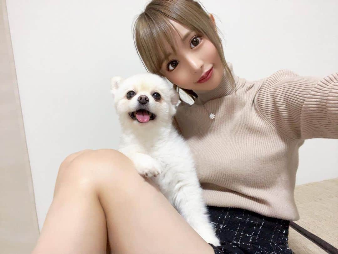 黒宮ちはやのインスタグラム：「頭カイカイしてあげると ふぁ〜って顔してくれる可愛い💕  最近、かわちぃって言葉聞く度に 私の事？と一瞬勘違いしてしまう   #黒宮ちはや #小悪魔ageha #モデル #キャバクラ #キャバ嬢 #ホステス #ラウンジ #水商売 #お酒 #歌舞伎町 #新宿 #六本木 #銀座 #北新地 #ミナミ #渋谷 #すすきの #シャンパン #華灯 #ディアレスト」