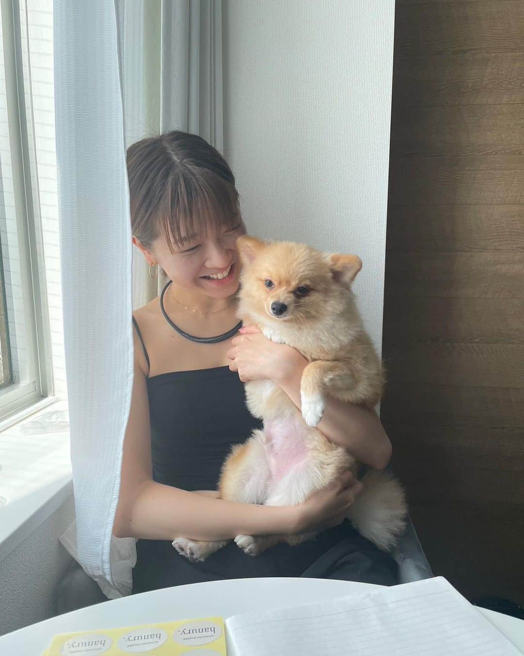 華妃まいあのインスタグラム：「なかなかカメラ見てくれない🐶  . 少し前のhanury.の打ち合わせ🕊 またご報告します🤍 #hanury.」