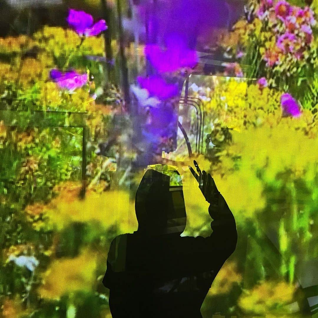 きなりのインスタグラム：「🔮🌷💠♻️🟡」