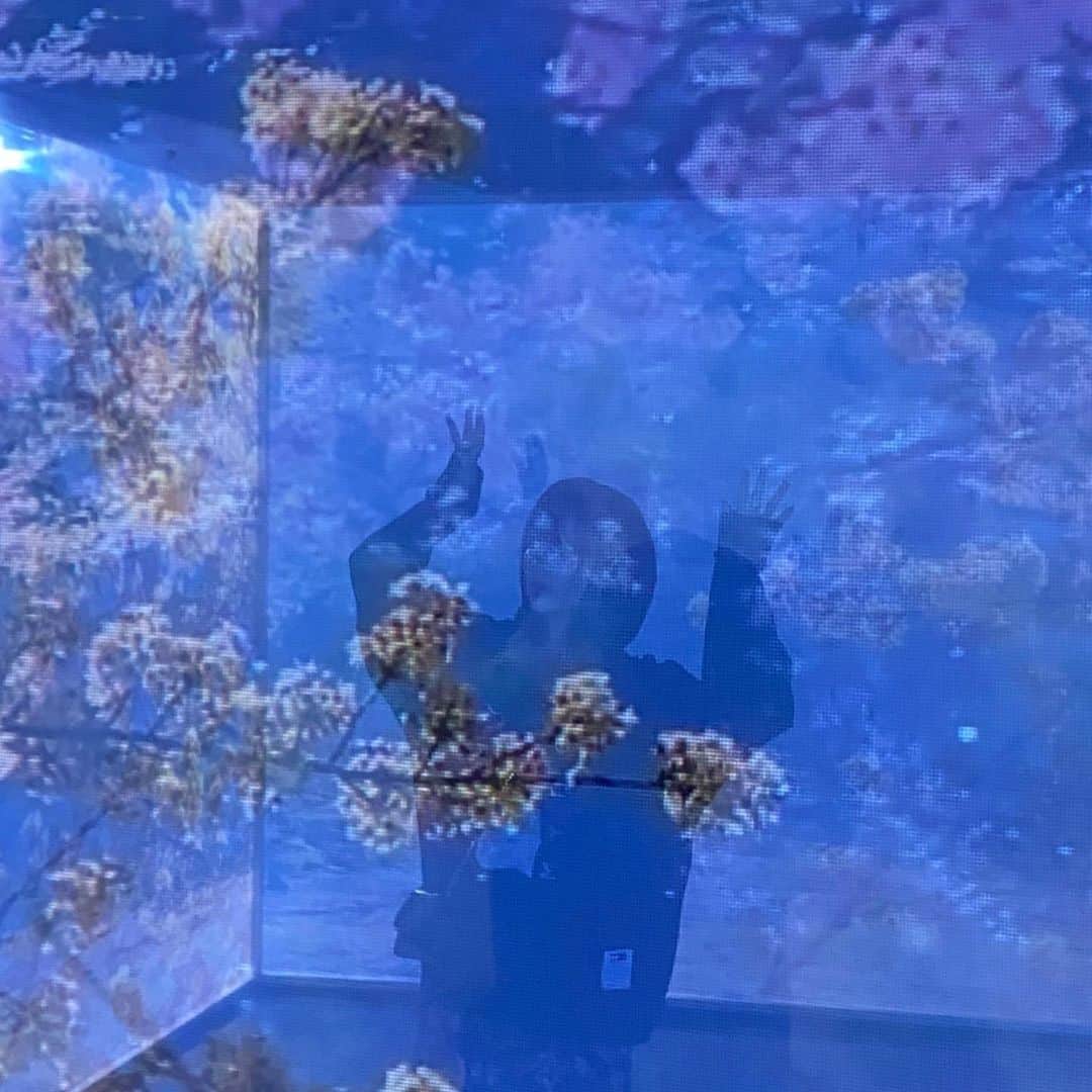 きなりさんのインスタグラム写真 - (きなりInstagram)「🔮🌷💠♻️🟡」10月13日 19時53分 - kiiiina04