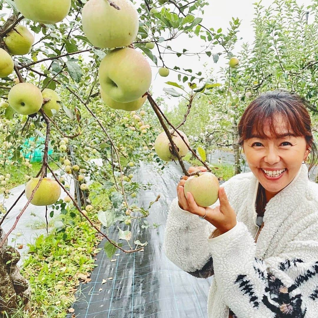 田中律子さんのインスタグラム写真 - (田中律子Instagram)「朝から路線バスで寄り道の旅🚌撮影ーーー🚌🚌🚌  冷たい雨が降ったり☔️止んだり🥶  昨日まで沖縄で30度だったのに…今朝の東京は16度🥶😖さむっ❄️  世田谷区にある農園で、りんご狩り🍎もしたり、素敵なお店にたくさん行きましたーー✨  とっても素敵なゲストさまと❤️徳さんにまたいっぱいお土産買っていただき、ゲストさまのおかげで華やかな1日となりました🤩  はー、今日も大好きなお仕事できて、心もお腹も満たされまくり✨なんて幸せなんだっ❗️❗️  #路線バスで寄り道の旅  #テレビ朝日  #バス旅🚌 #りんご狩り  #今日は寝てないよ  #明日も撮影頑張ります」10月13日 20時27分 - ri2kotanaka