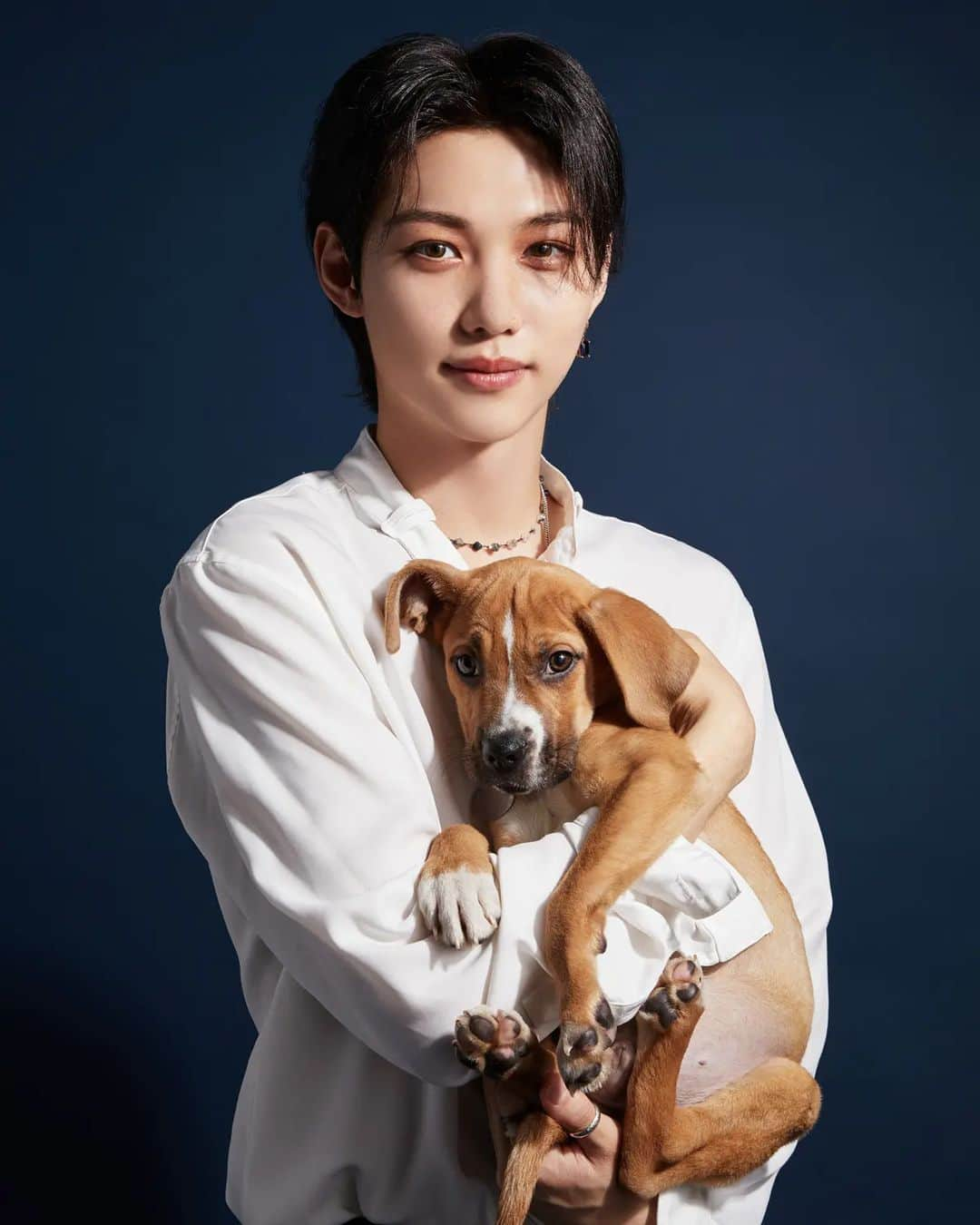 フェリックスのインスタグラム：「pic from buzzfeed puppy interview 😍😍 . . . . #필릭스 #felix #leefelix #straykidsfelix #felixlee #straykids #jyp #jype #jypnation #스트레이키즈 #スキズ #maxident #straykidscomeback」