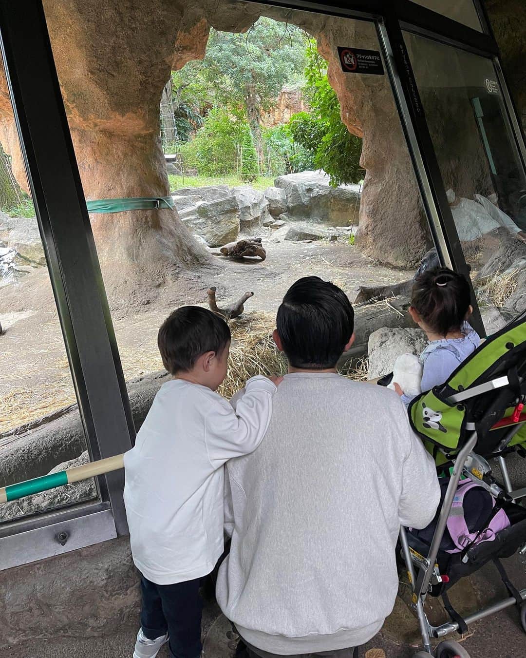 馬場一馬さんのインスタグラム写真 - (馬場一馬Instagram)「お久しぶりです！！ 先日家族で2年ぶりに上野動物園に行ってきました🦍🐼🐻 子供達の成長を感じつつ、自分はゴリラに興奮しました😂ウホッ🦍 #上野動物園#家族の休日#ゴリラ#ウホッ」10月14日 10時32分 - babakazuma