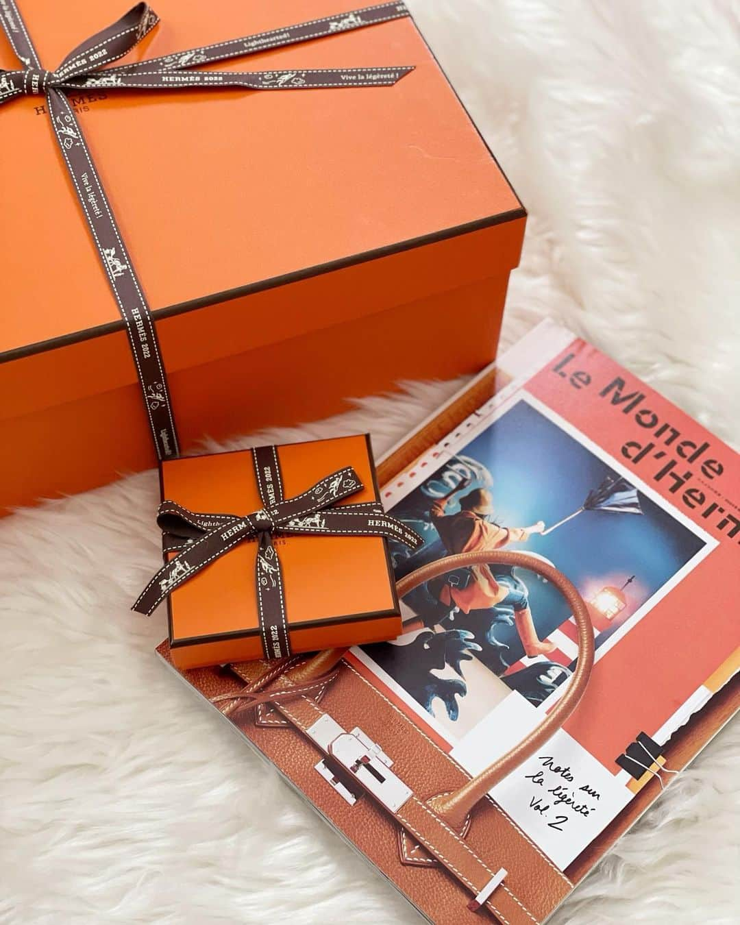 サキ吉さんのインスタグラム写真 - (サキ吉Instagram)「自分のためのワクワク大事🍊 ． ． ． #hermes #🧡 #🍊 #エルメス好きな人と繋がりたい」10月15日 1時21分 - sakikichi1201