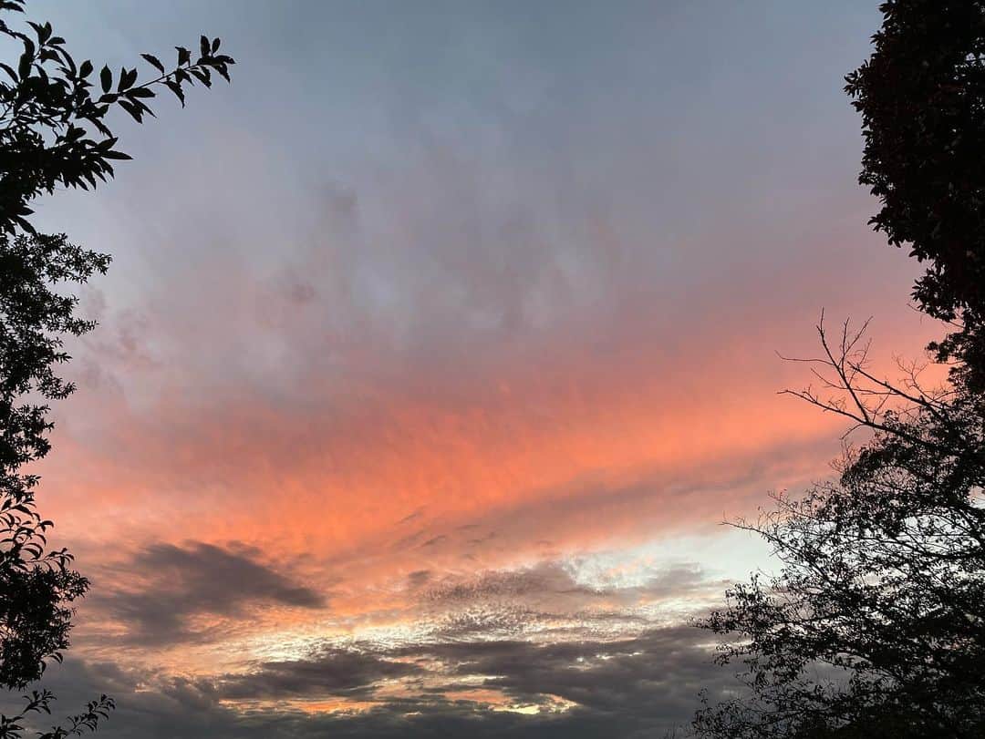 増井なぎささんのインスタグラム写真 - (増井なぎさInstagram)「#sunset 🌆 公園に行きたい姪たちの引率をしたら、ちょうど夕焼けをみられた日。Lucky👶💖」10月15日 2時32分 - nagisa_masui