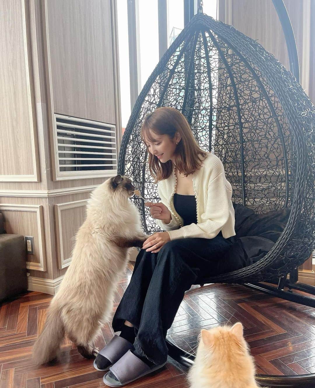 堀みづきのグルメインスタ