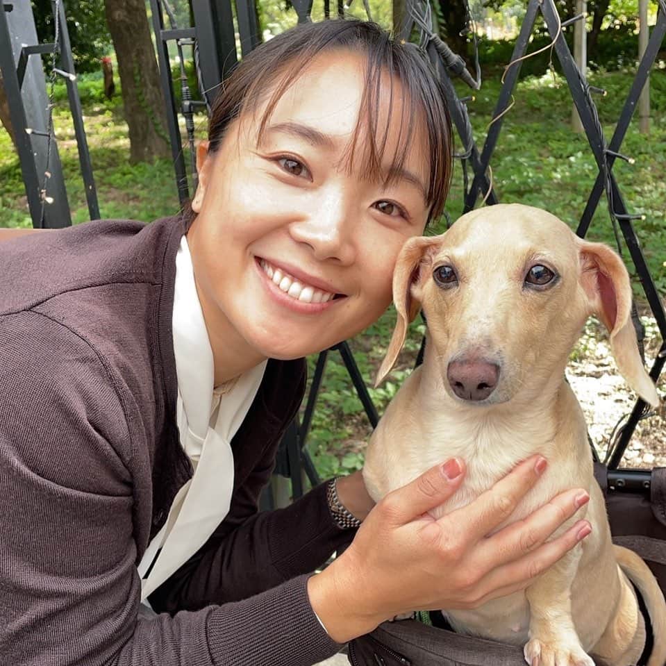 のインスタグラム：「みなさん、温かいメッセージ、本当にありがとうございます💚 全部見させていただいております😊  引退後は少しリラックスした時間を過ごせています。愛犬のポロです🐶  #奈良くるみ  #kuruminara  #テニス  #tennis  #テニスプレイヤー  #tennisplayer」