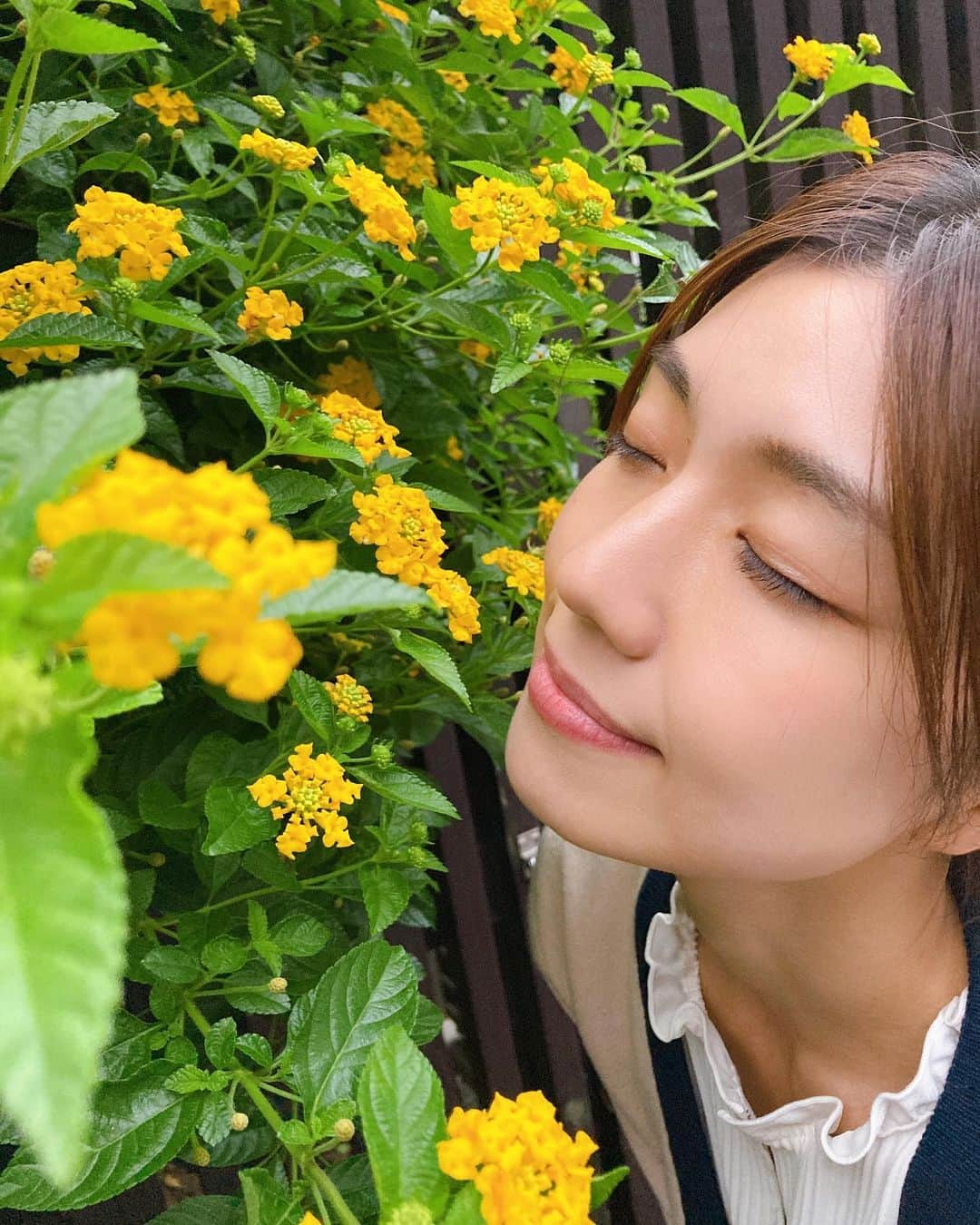 のインスタグラム：「gm.🌼」